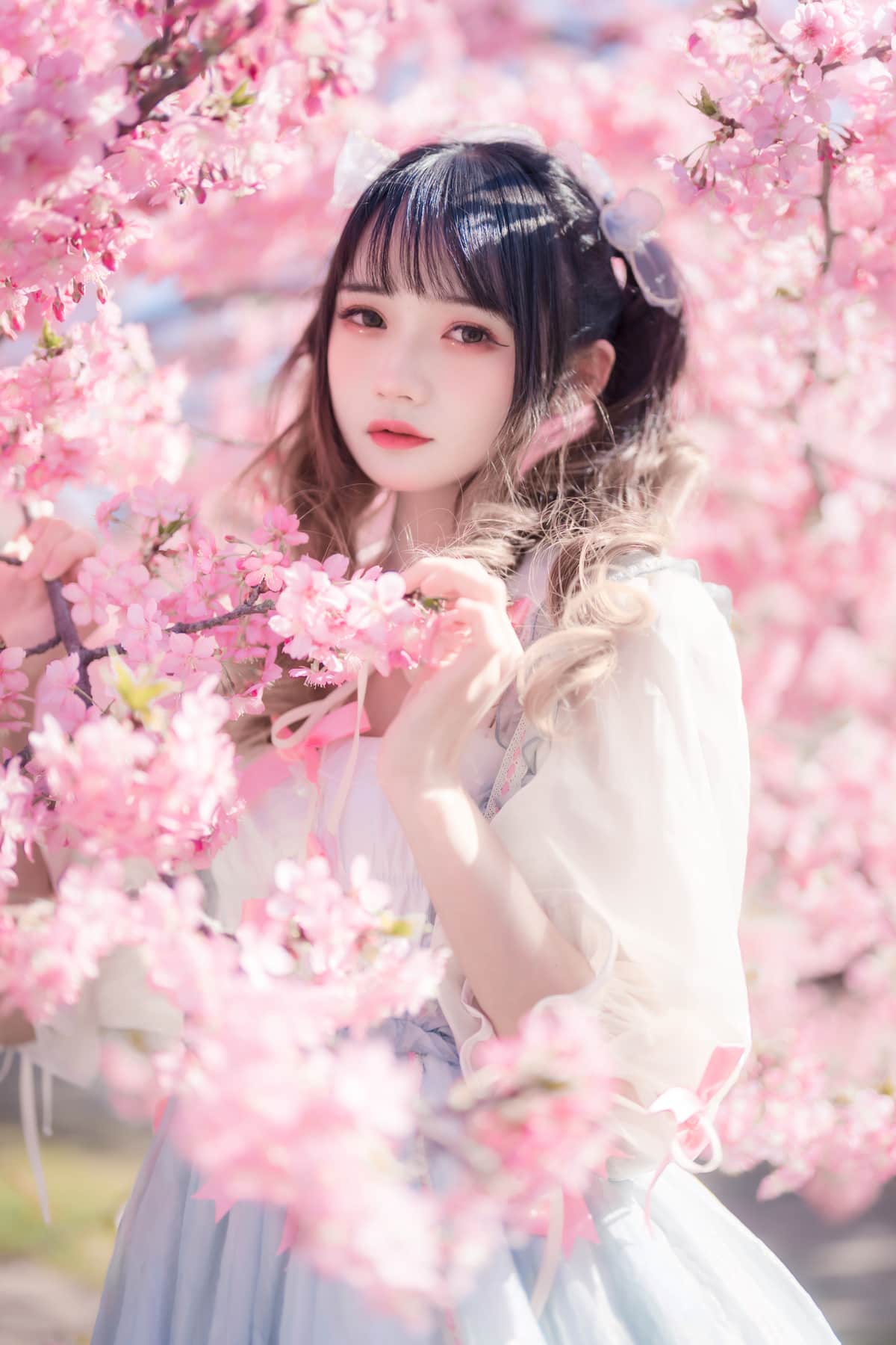 兔子Zzz不吃胡萝卜 - 美女COS写真合集 161套 40G