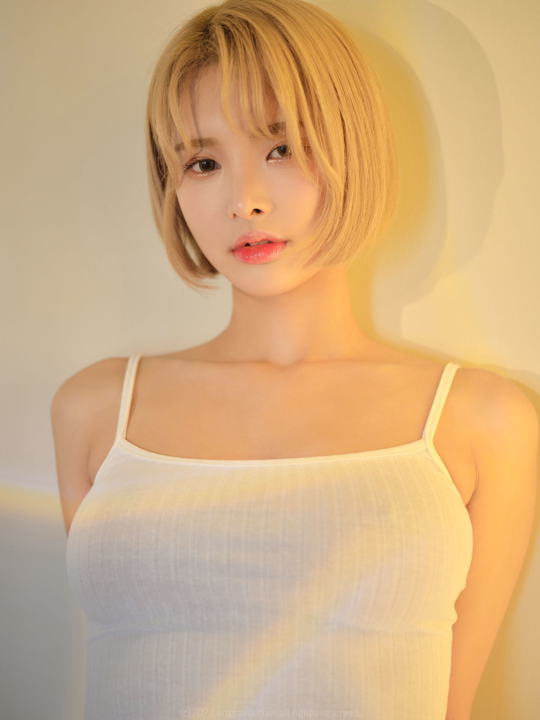 [ARTGRAVIA] VOL.396 HyoYeon [99P] - 秀人网免费无水印在线套图写真