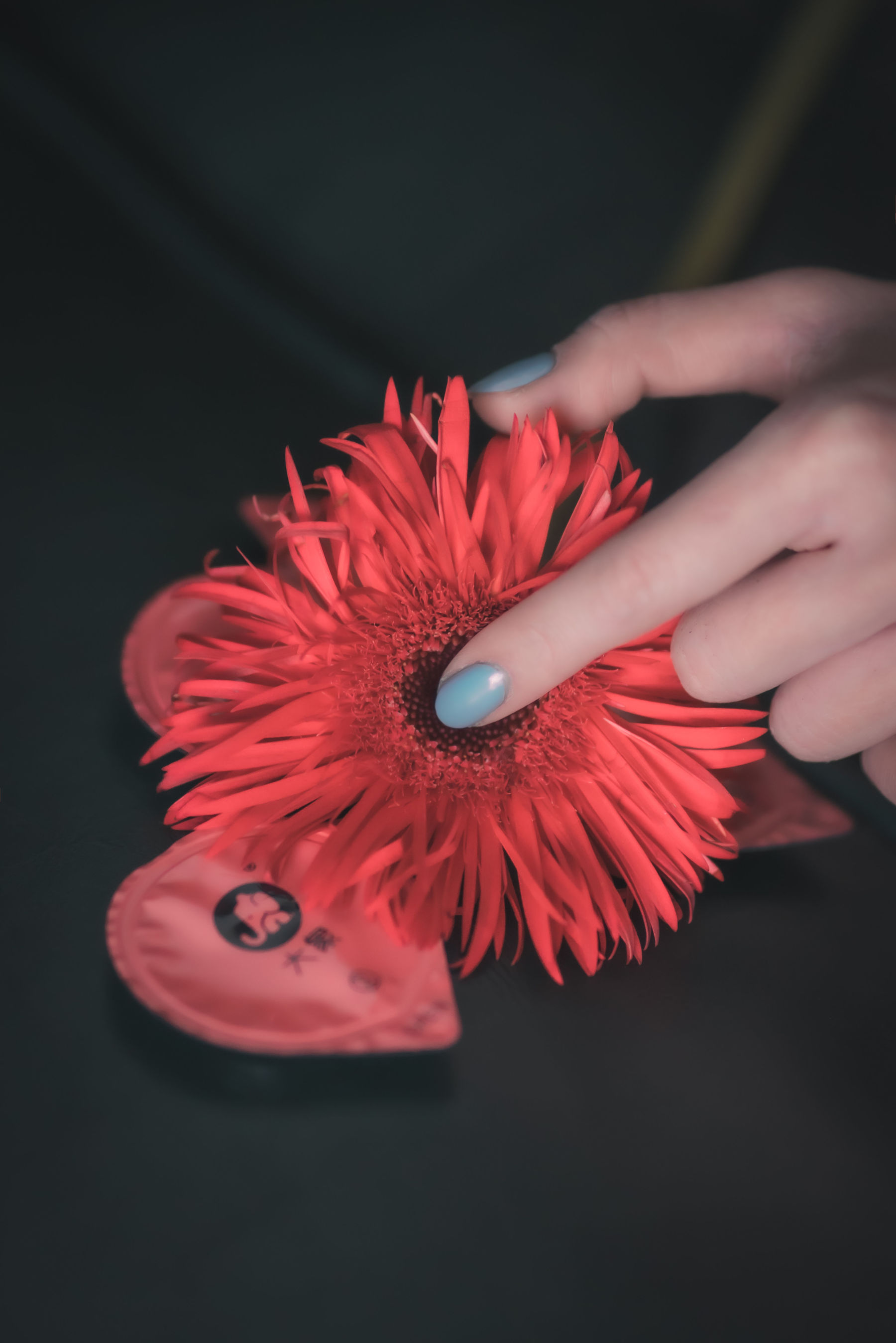 COS少女星野咪兔 – 花吃了那女孩 [20P] - 秀人网免费无水印在线套图写真