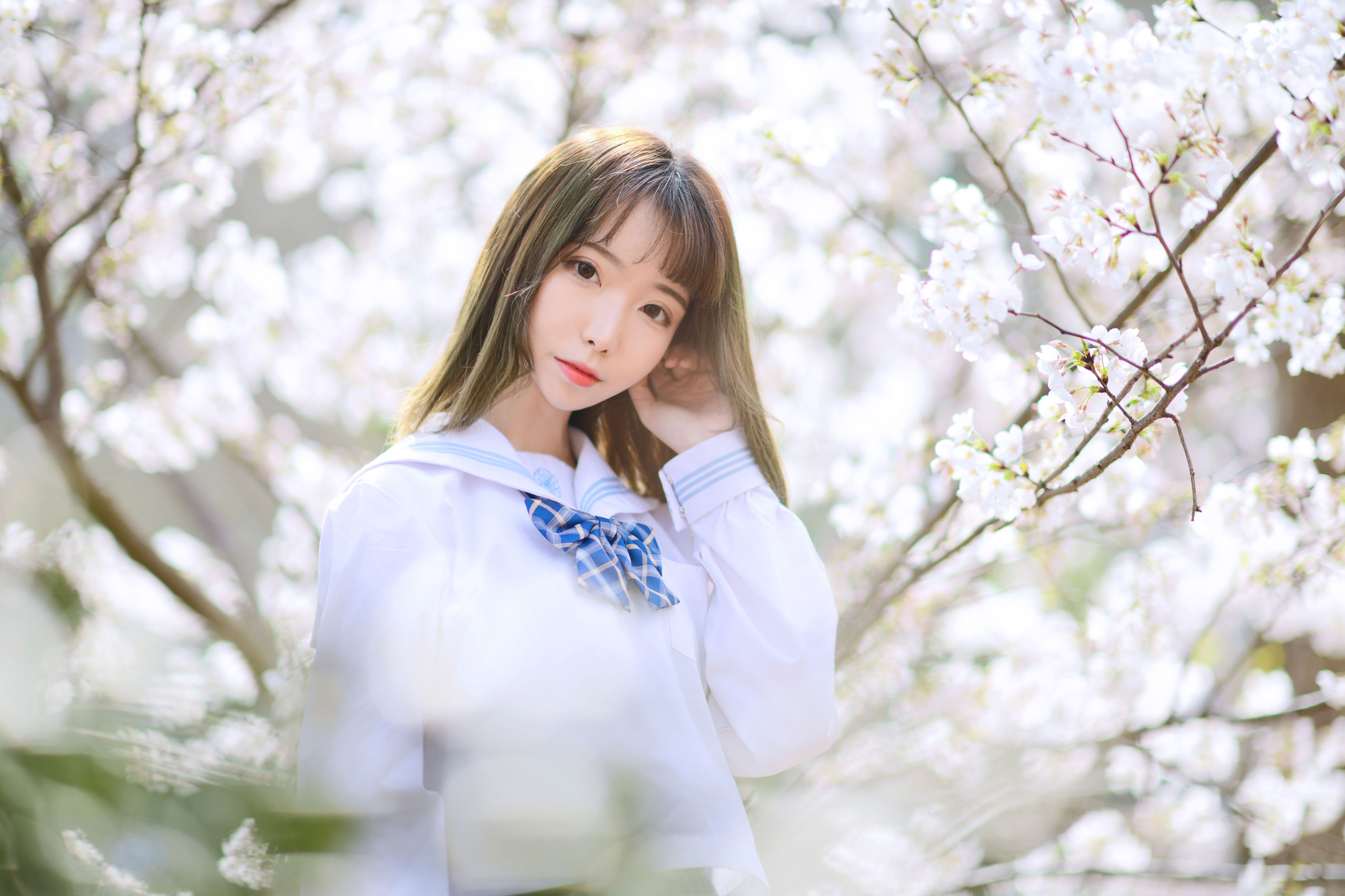 可爱妹子Fushii_海堂 – 樱花树下 [41P] - 秀人网免费无水印在线套图写真