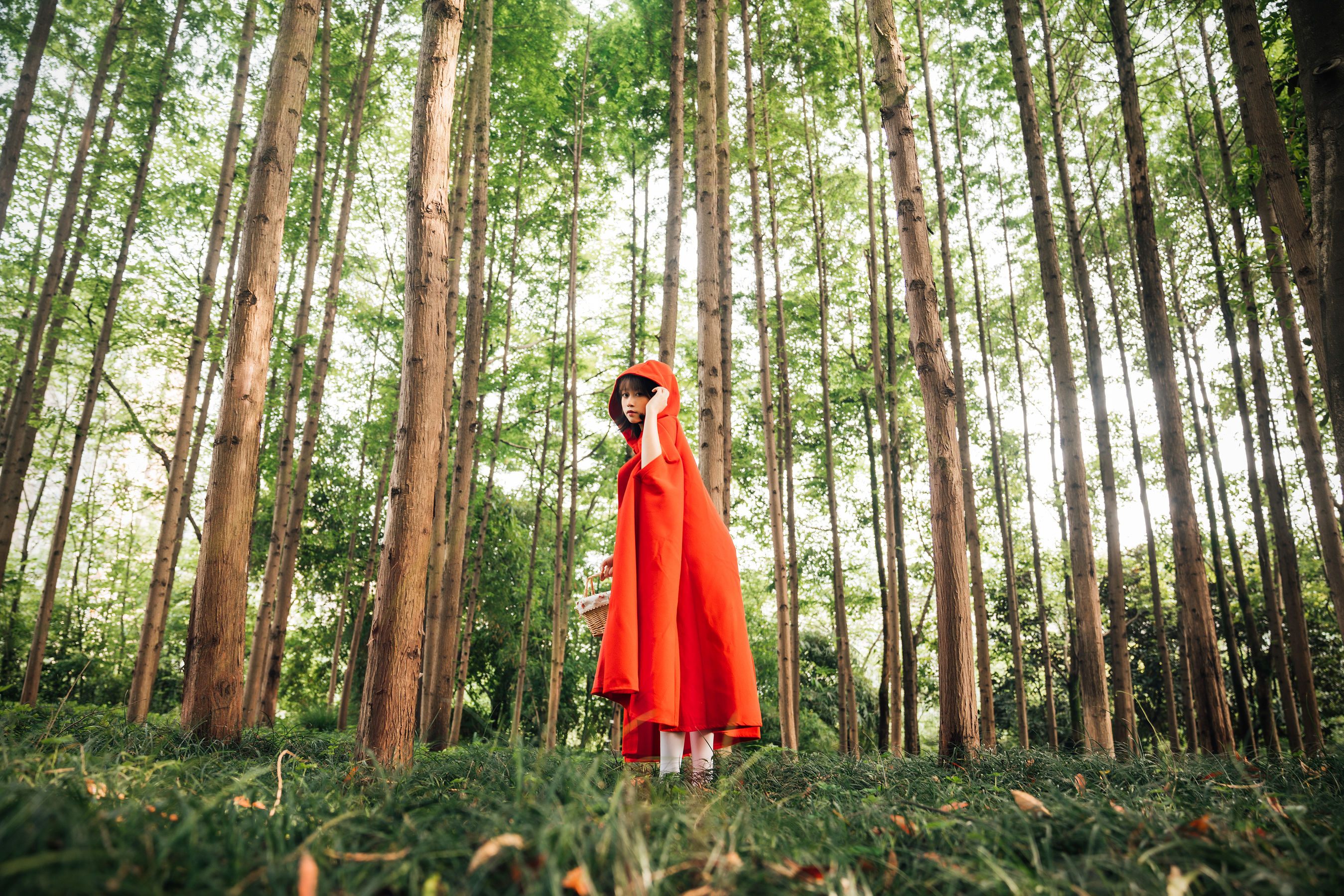 萌妹奈汐酱nice – 大红帽 [26P] - 秀人网免费无水印在线套图写真