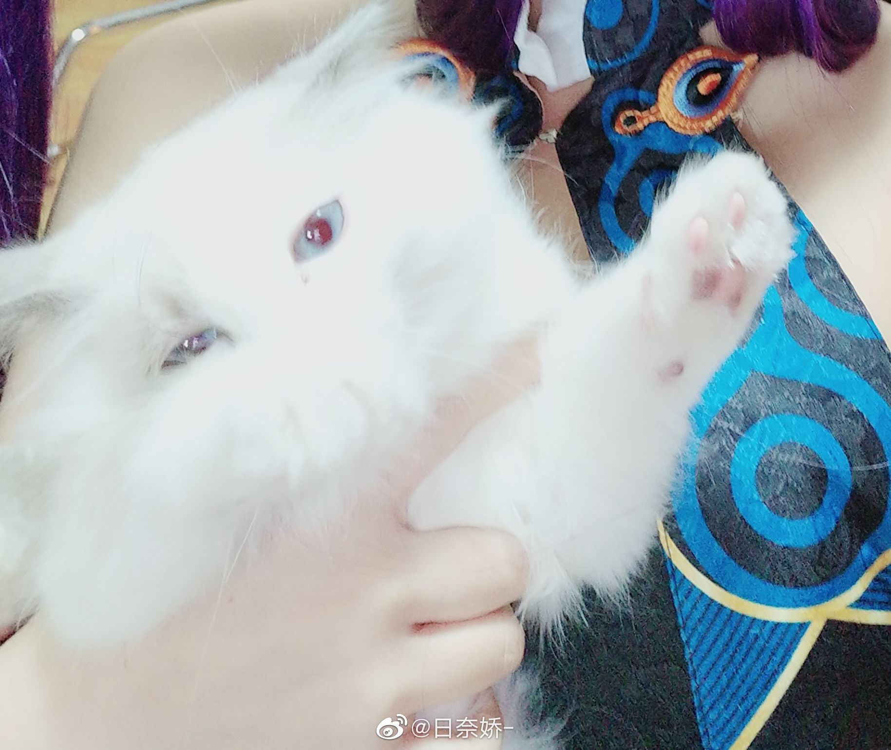 日奈娇 – 杨贵妃 [17P] - 秀人网免费无水印在线套图写真