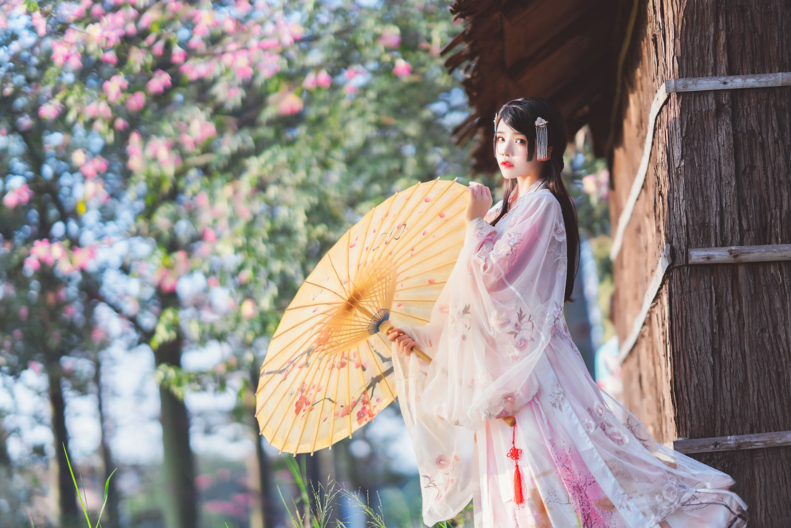 桜桃喵 – 温柔之汉服桃花 [15P] - 秀人网免费无水印在线套图写真