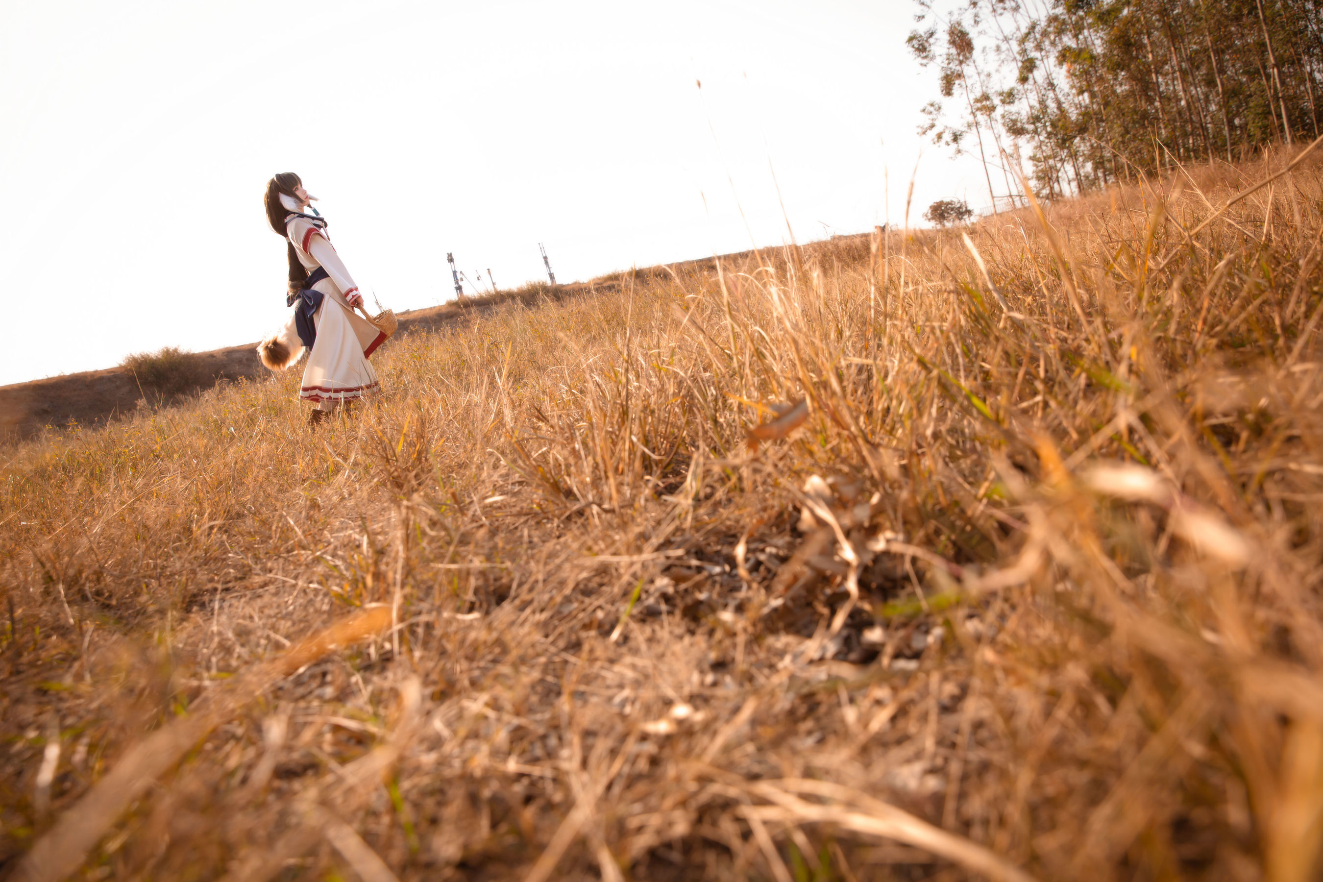 动漫博主G44不会受伤 – 艾露露 [17P] - 秀人网免费无水印在线套图写真