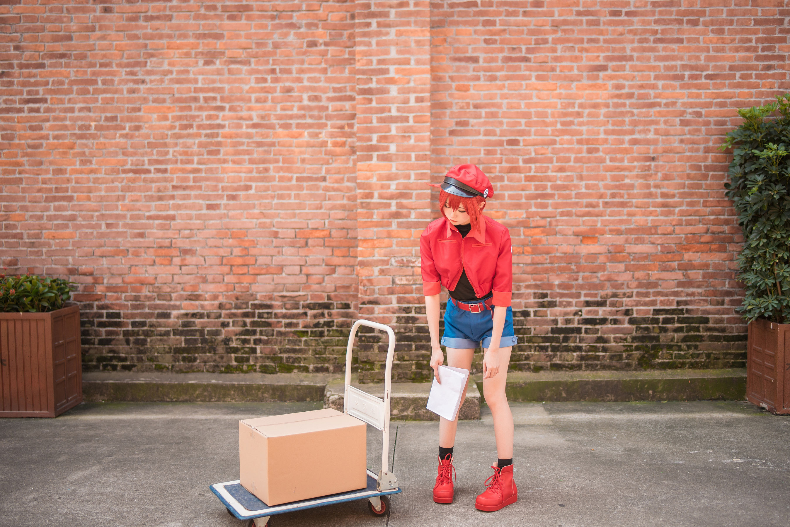 动漫博主Kitaro_绮太郎 工作细胞 [58P] - 秀人网免费无水印在线套图写真