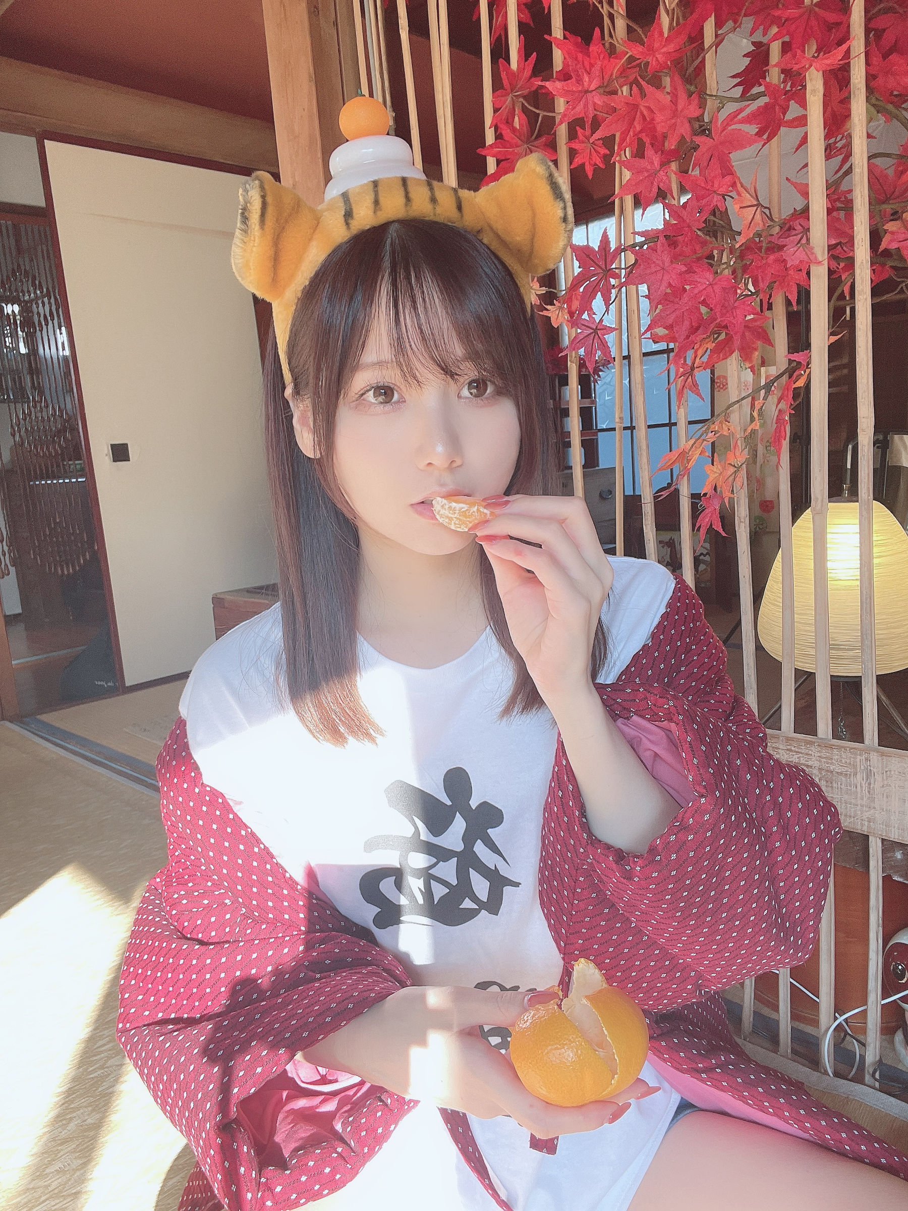 日本甜美COSERけんけん[fantia] 20220104-寅年 [19P] - 秀人网免费无水印在线套图写真