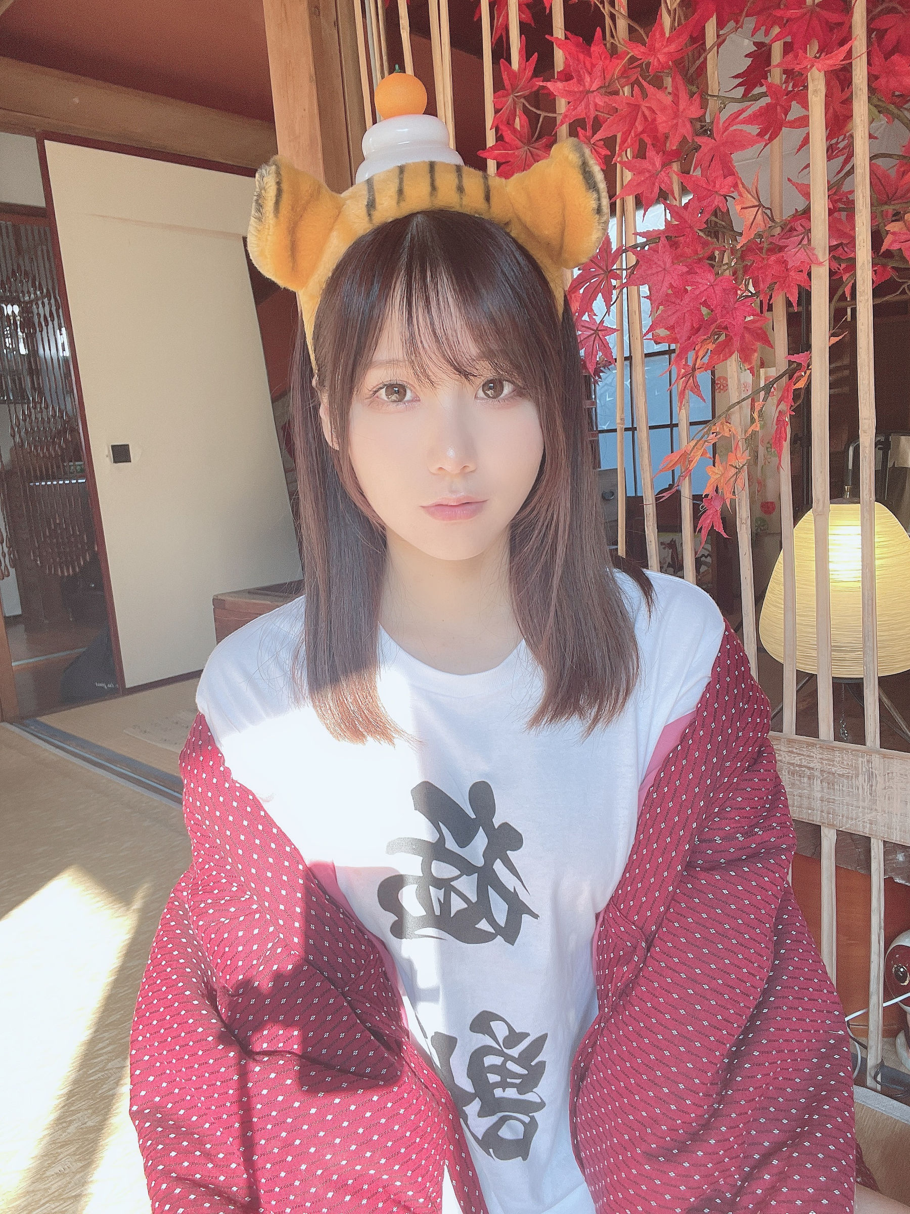 日本甜美COSERけんけん[fantia] 20220104-寅年 [19P] - 秀人网免费无水印在线套图写真