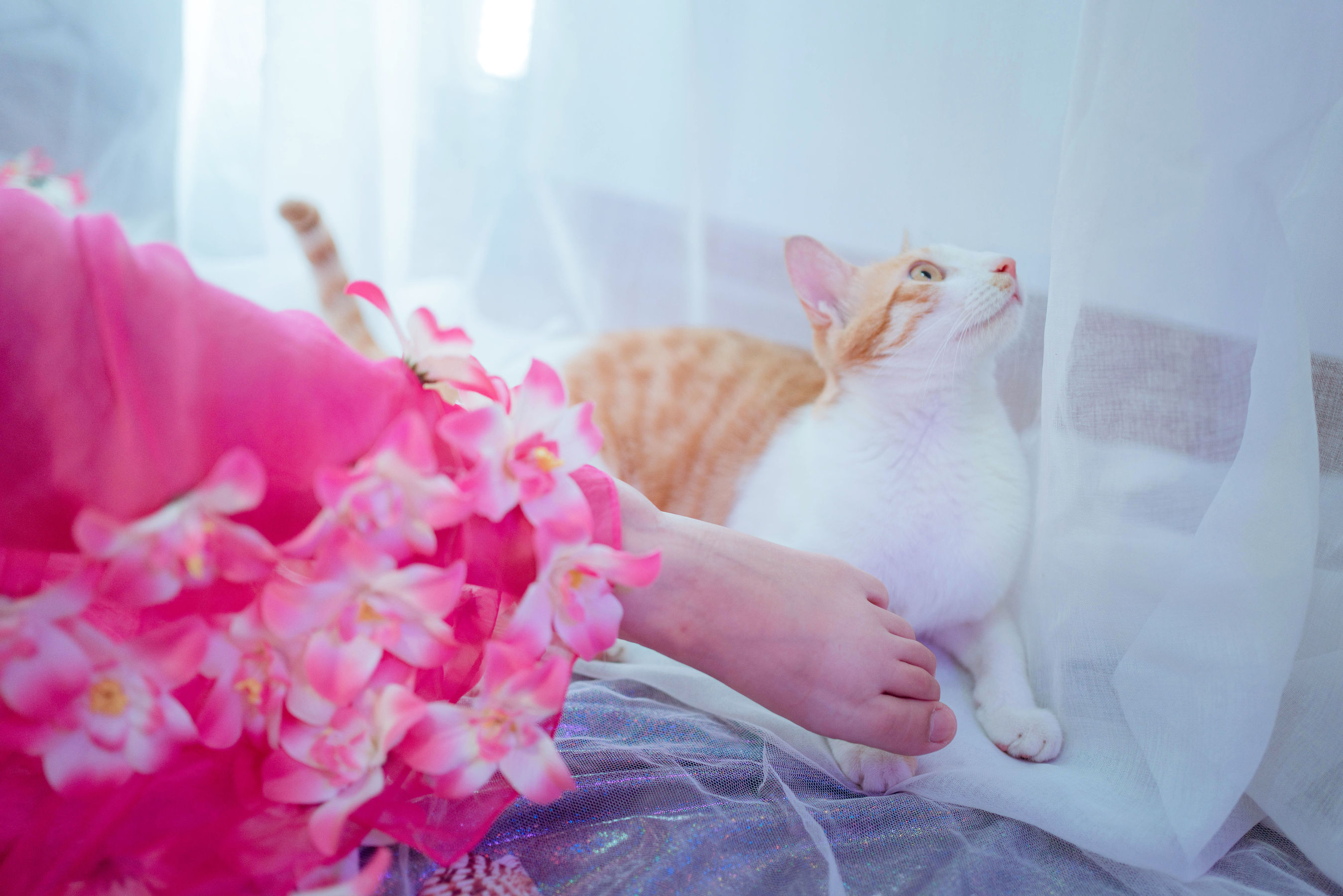 阿半今天很开心 – 杀生学院 [23P] - 秀人网免费无水印在线套图写真