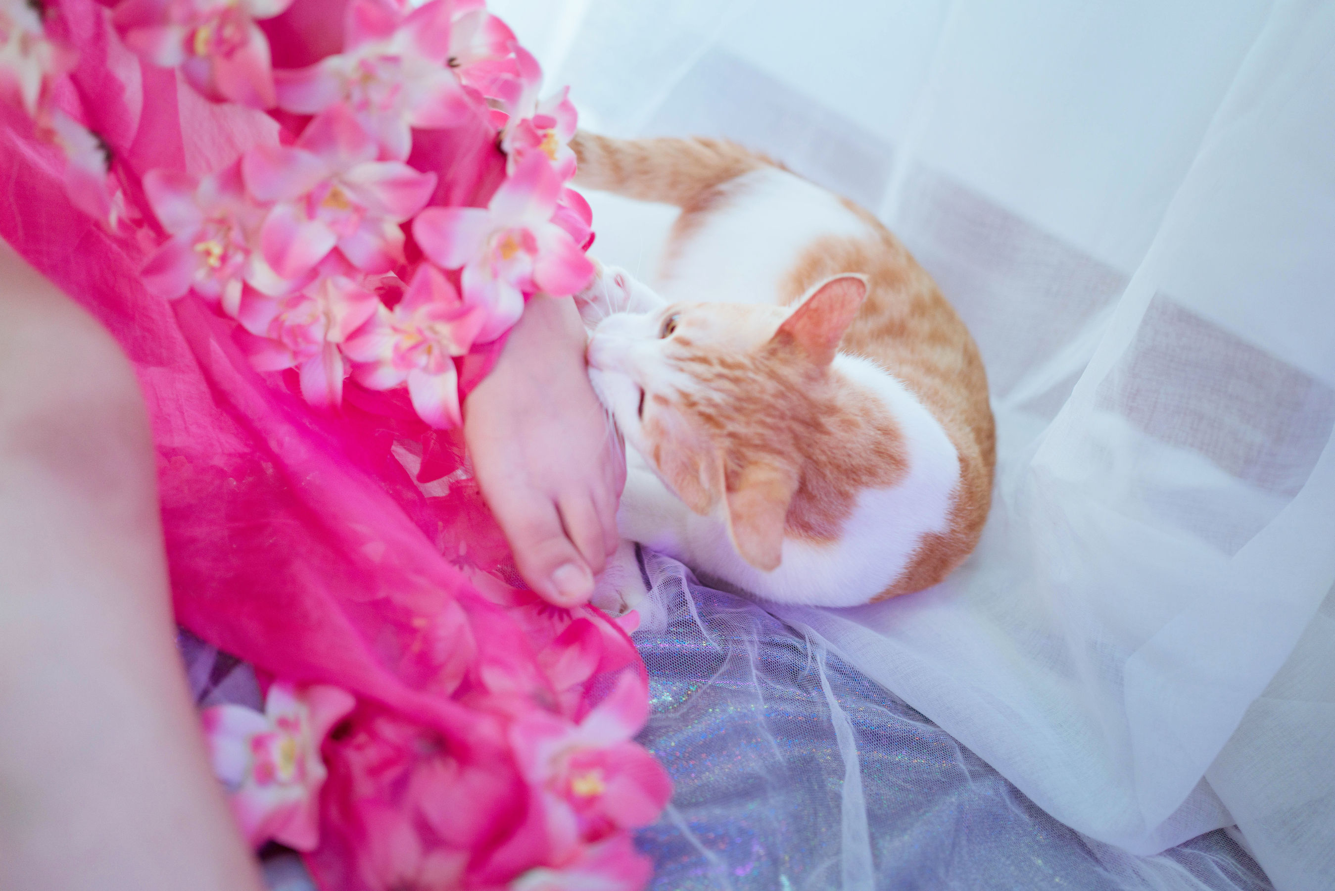 阿半今天很开心 – 杀生学院 [23P] - 秀人网免费无水印在线套图写真