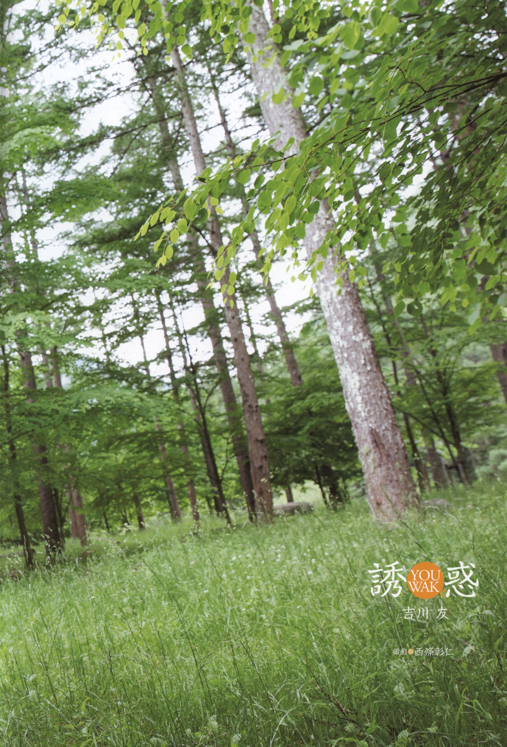 Yuu Kikkawa 吉川友《誘惑》 [69P] - 秀人网免费无水印在线套图写真