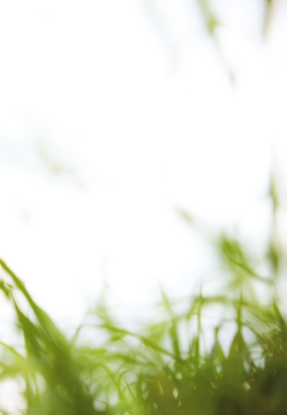 道重さゆみ +-+9th写真集「美ルフィーユ」 [74P] - 秀人网免费无水印在线套图写真