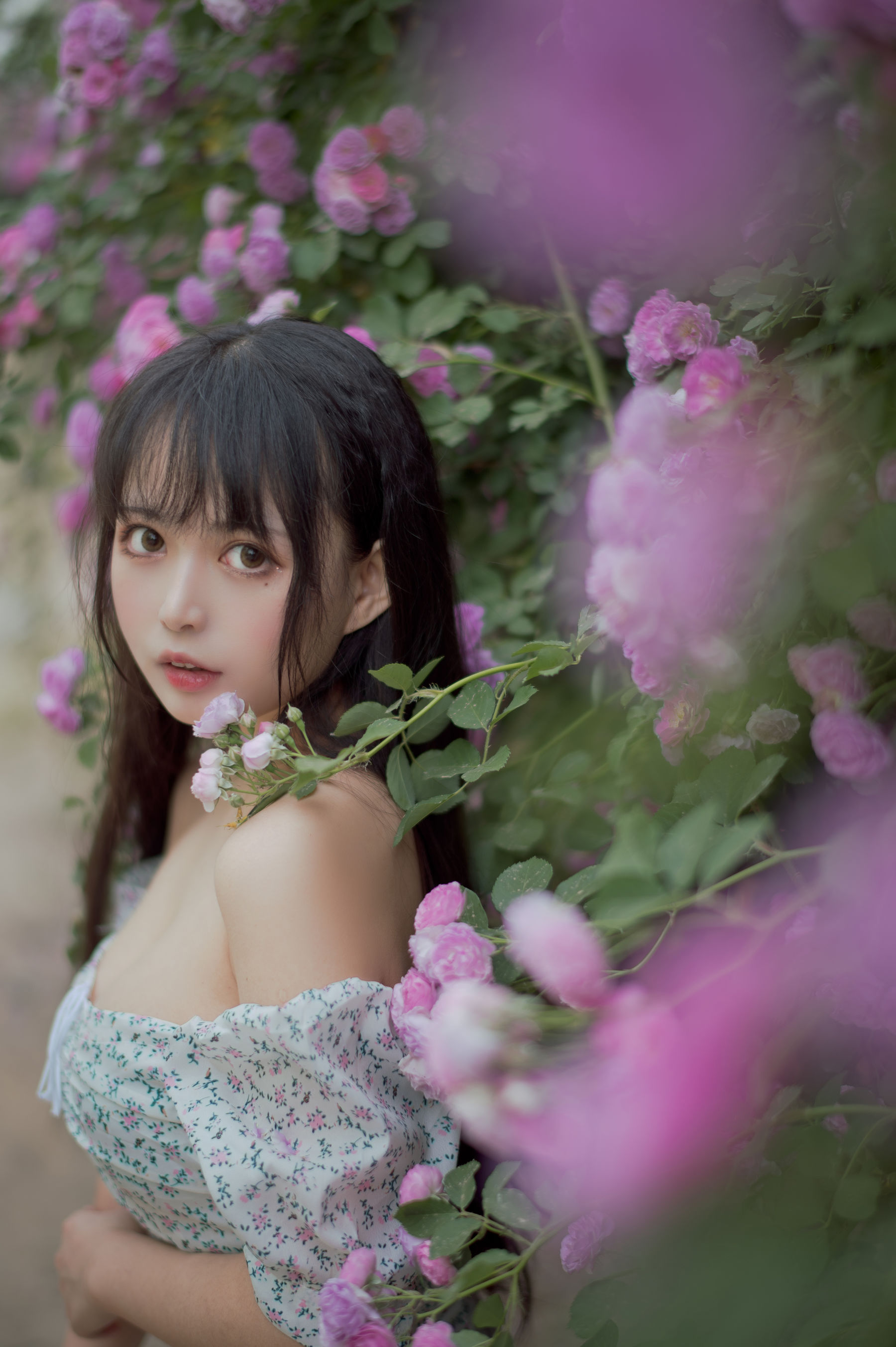 大眼萌妹黑猫猫OvO – 蔷薇2 [27P] - 秀人网免费无水印在线套图写真