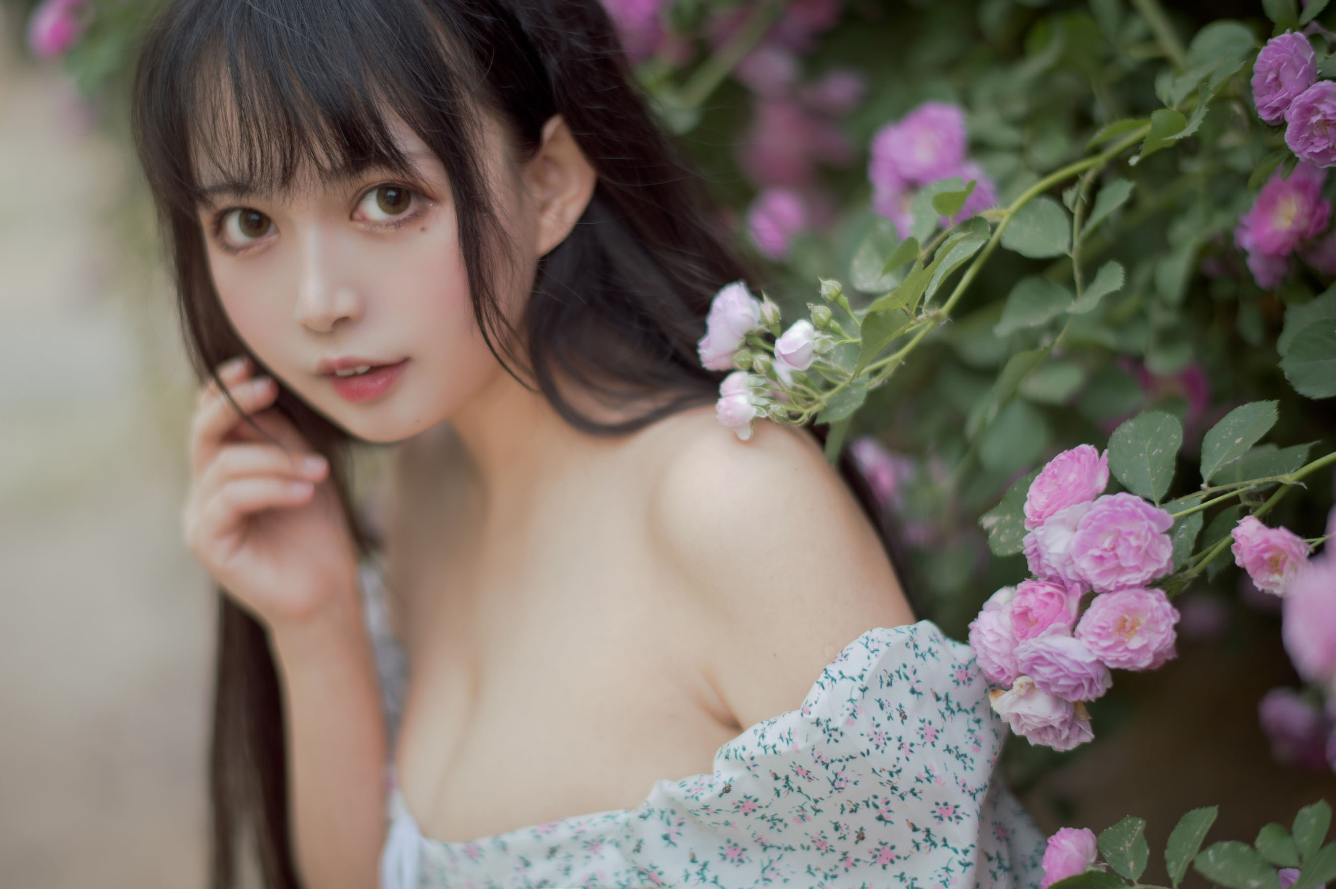 大眼萌妹黑猫猫OvO – 蔷薇2 [27P] - 秀人网免费无水印在线套图写真