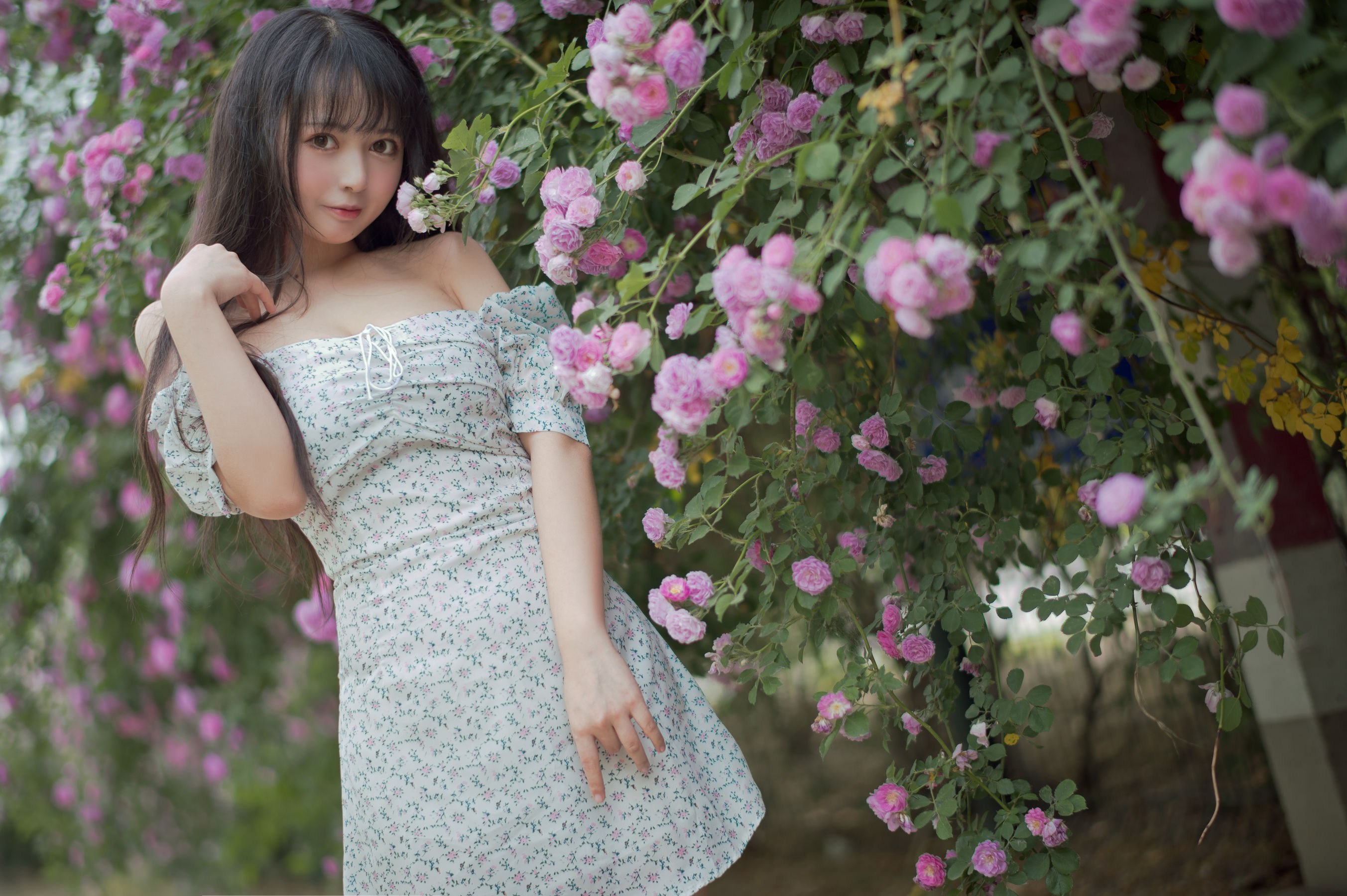 大眼萌妹黑猫猫OvO – 蔷薇2 [27P] - 秀人网免费无水印在线套图写真