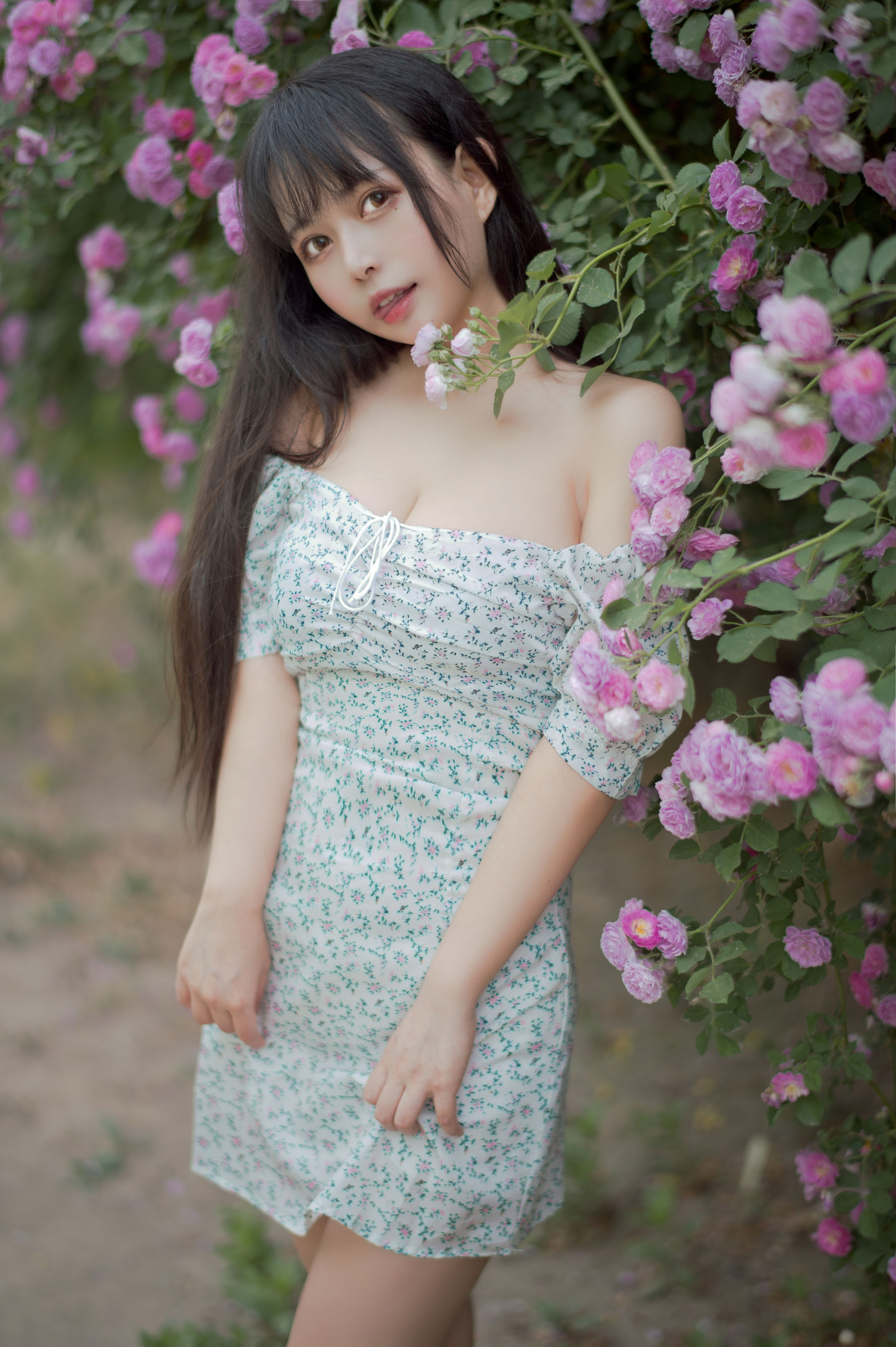 大眼萌妹黑猫猫OvO – 蔷薇2 [27P] - 秀人网免费无水印在线套图写真