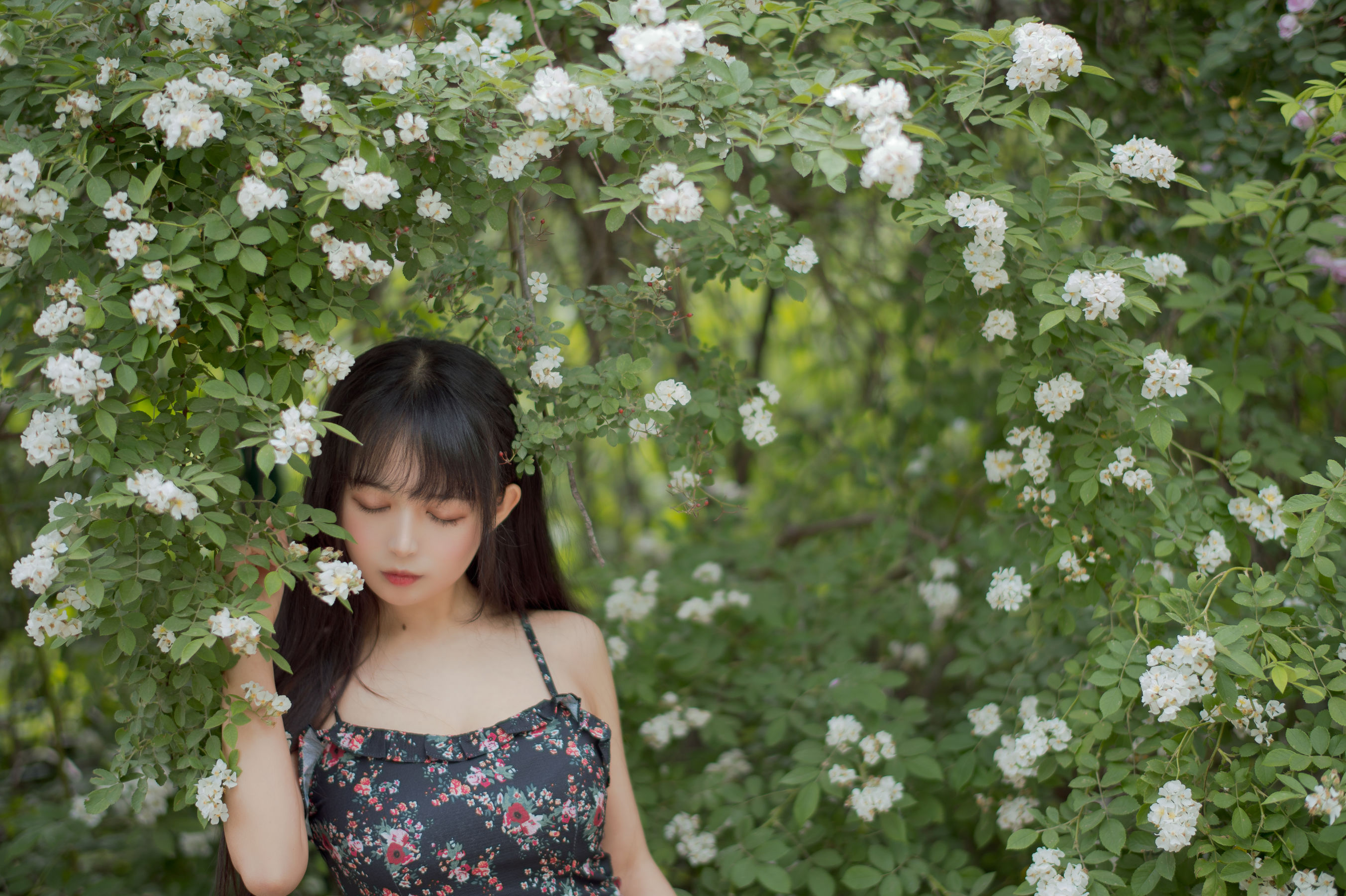 大眼萌妹黑猫猫OvO – 蔷薇1 [22P] - 秀人网免费无水印在线套图写真