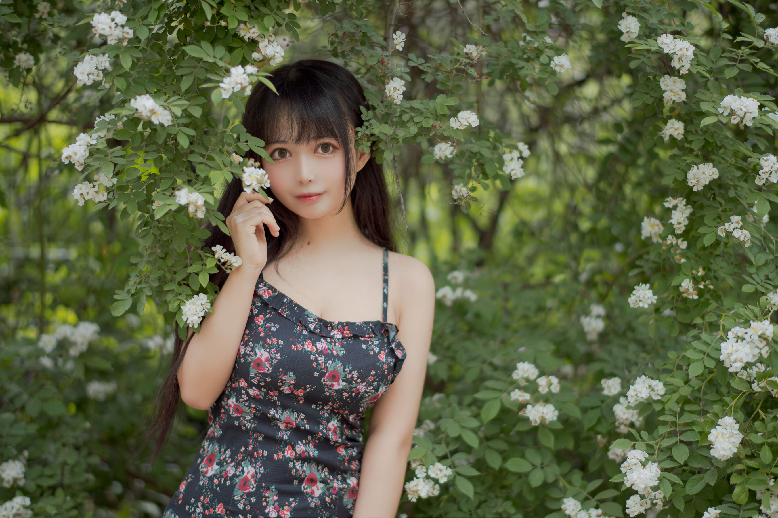 大眼萌妹黑猫猫OvO – 蔷薇1 [22P] - 秀人网免费无水印在线套图写真