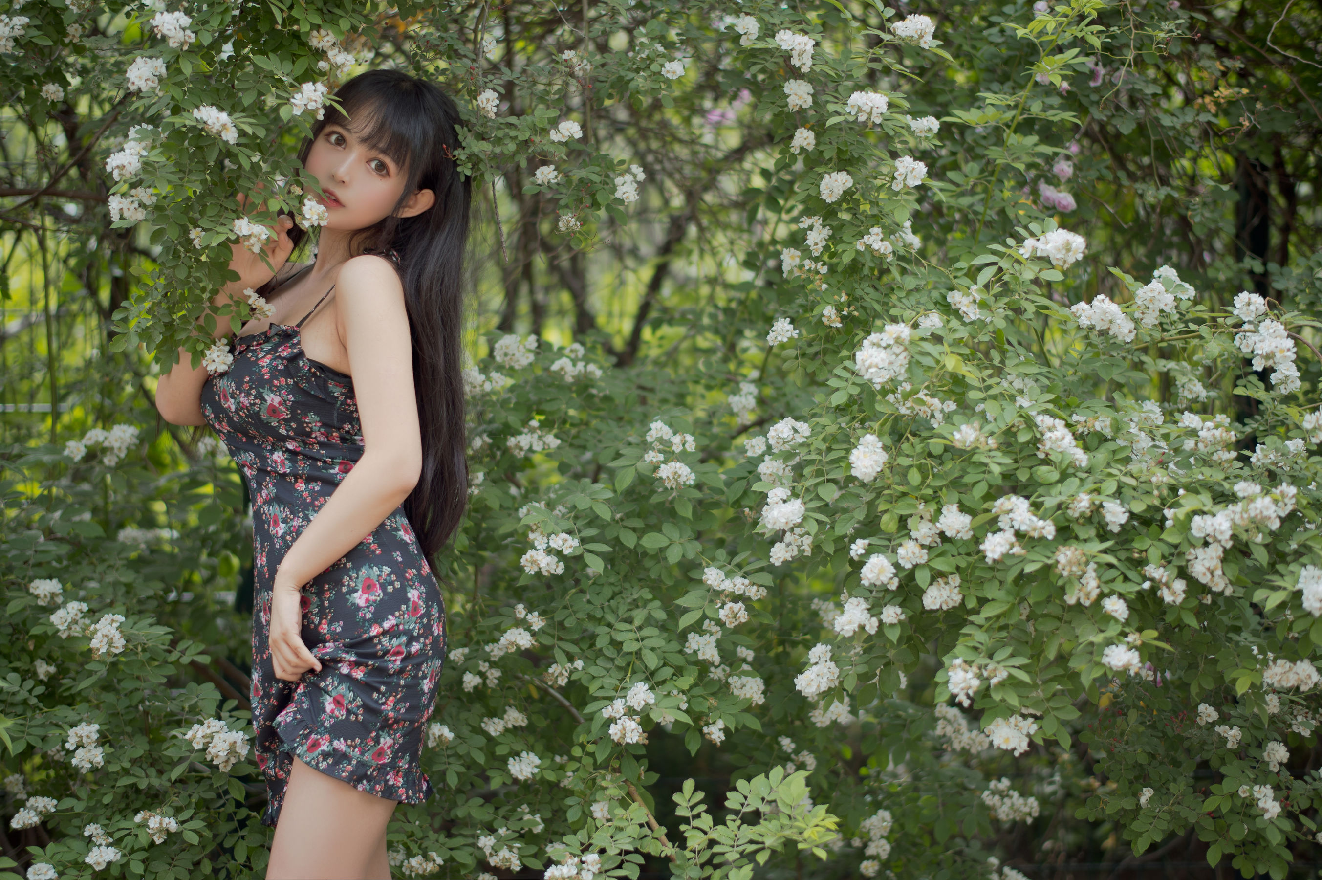 大眼萌妹黑猫猫OvO – 蔷薇1 [22P] - 秀人网免费无水印在线套图写真