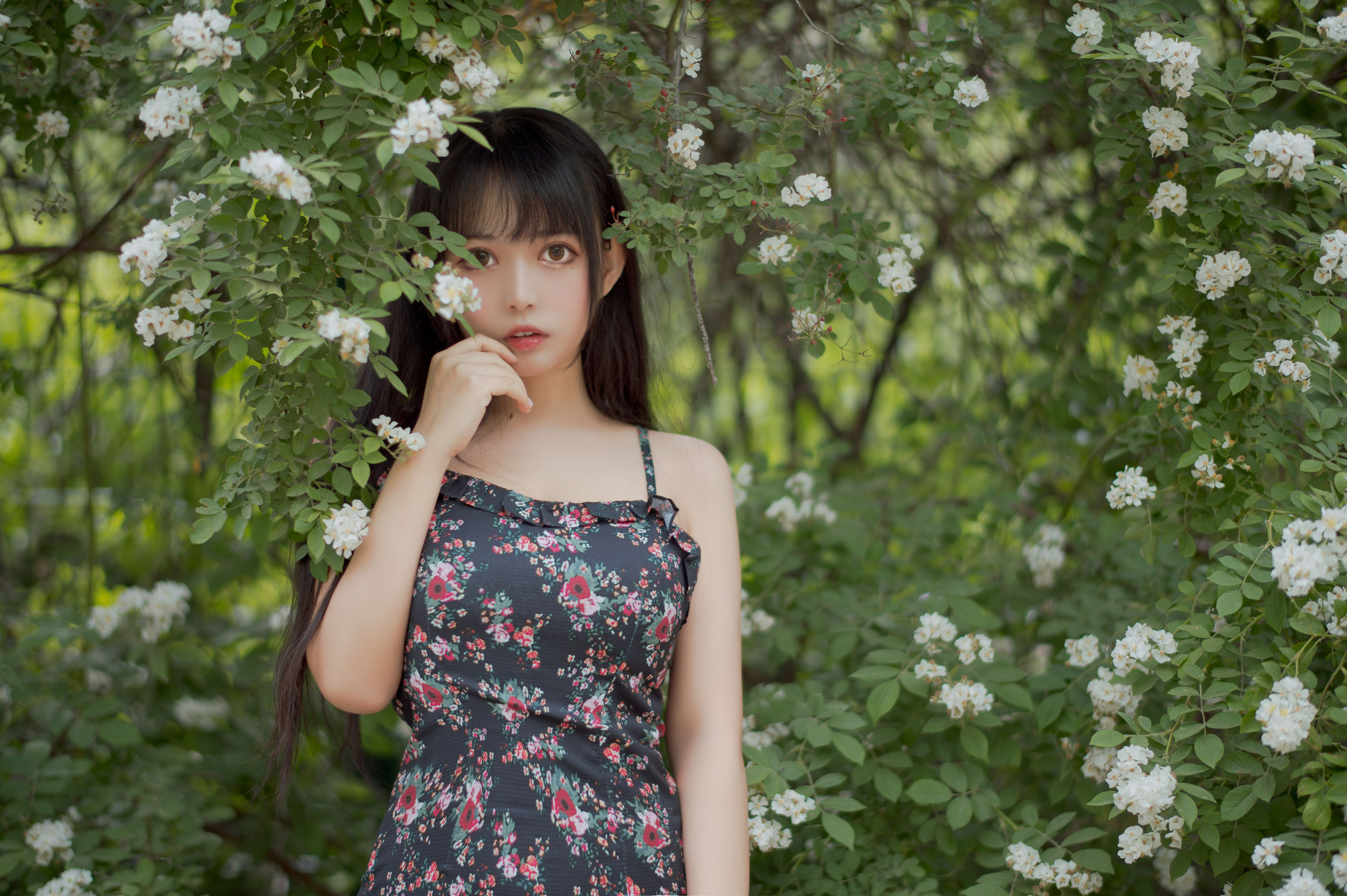 大眼萌妹黑猫猫OvO – 蔷薇1 [22P] - 秀人网免费无水印在线套图写真