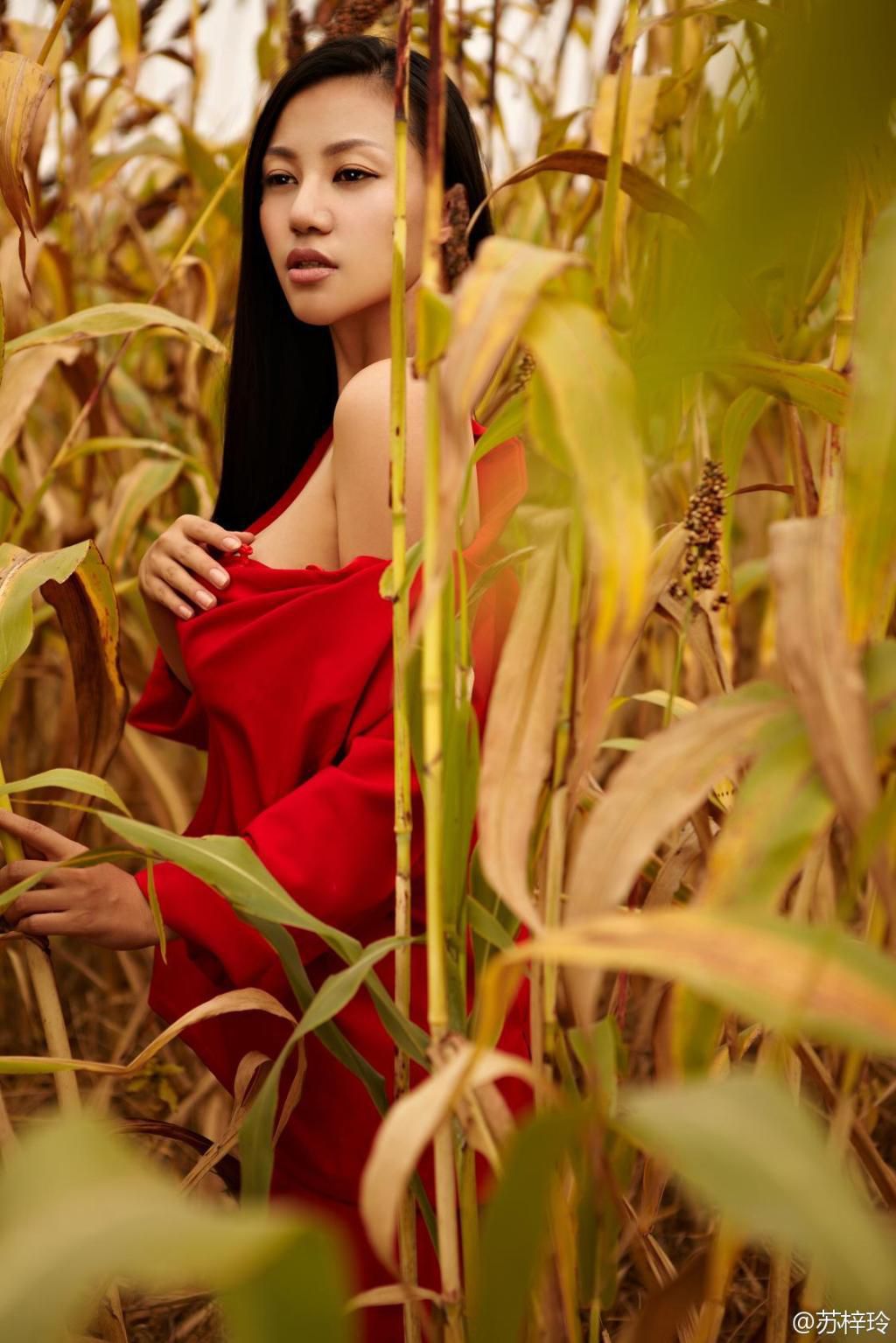 苏梓玲《红高粱》超高清完整版 [35P] - 秀人网免费无水印在线套图写真