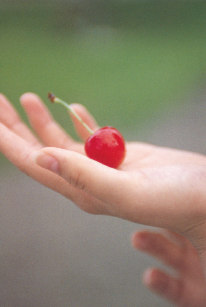 堀北真希 「进化论」 [112P] - 秀人网免费无水印在线套图写真