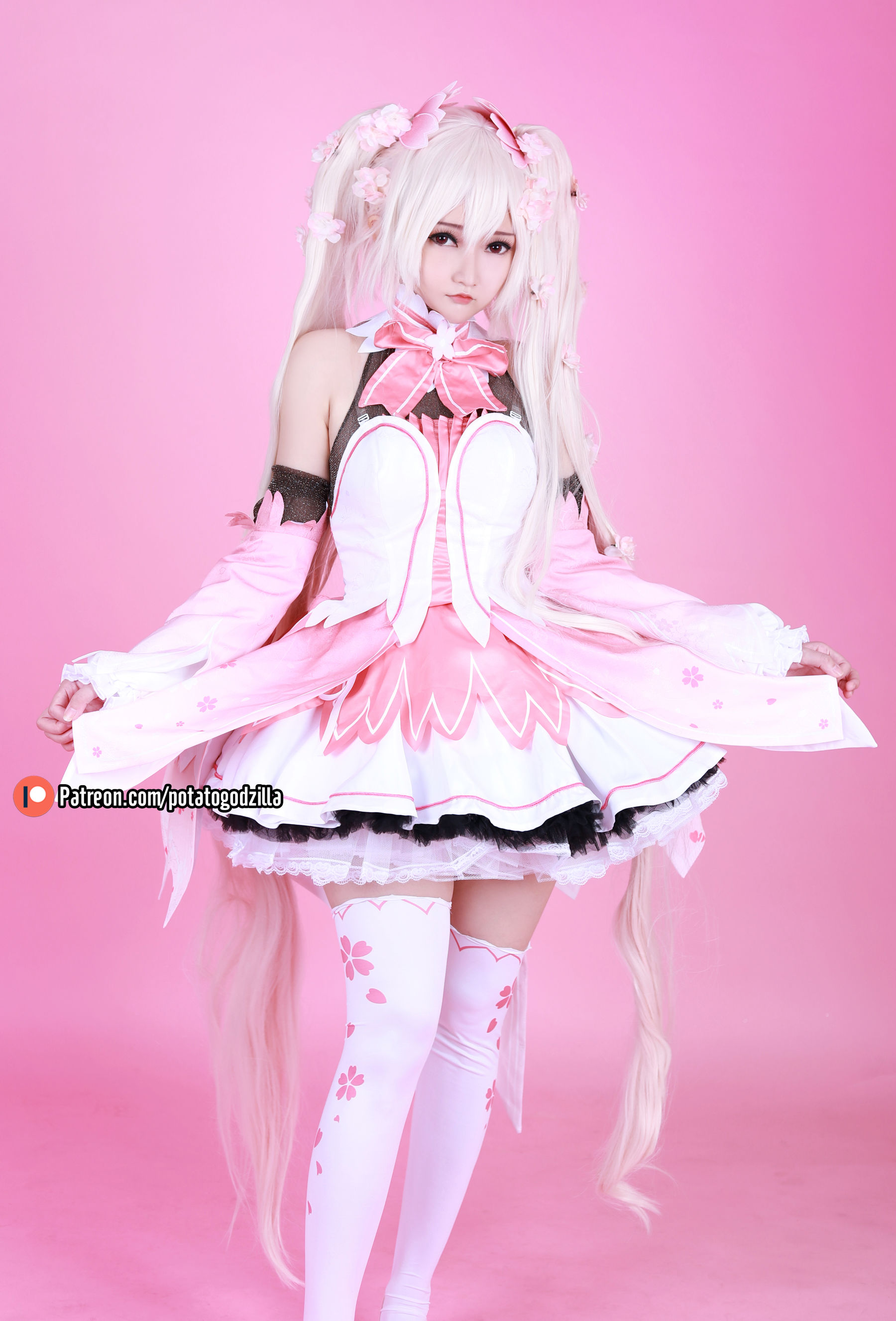 Coser小姐姐Potato Godzilla – Sakura Miku [44P] - 秀人网免费无水印在线套图写真