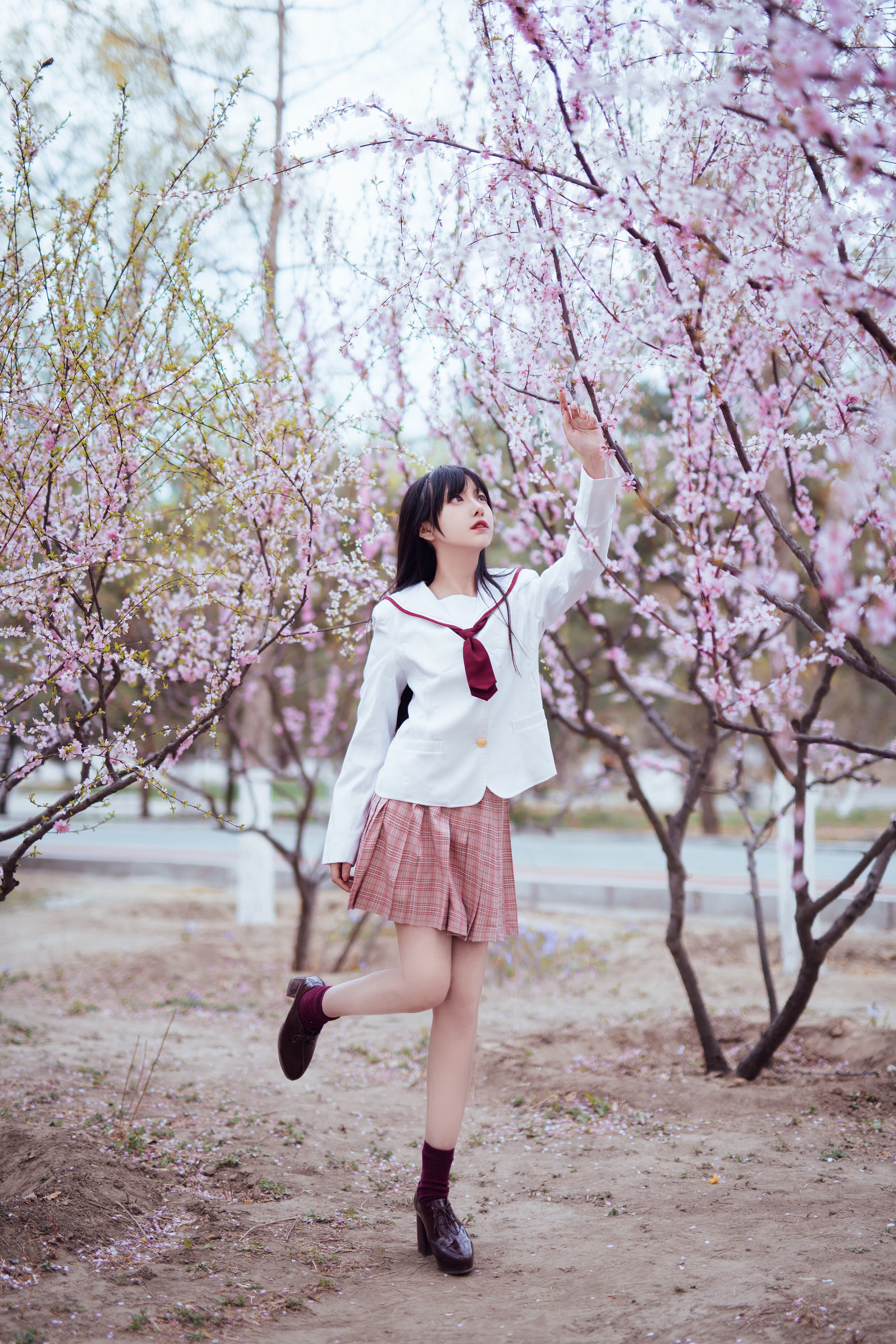 Shika小鹿鹿 – 樱花 [13P] - 秀人网免费无水印在线套图写真