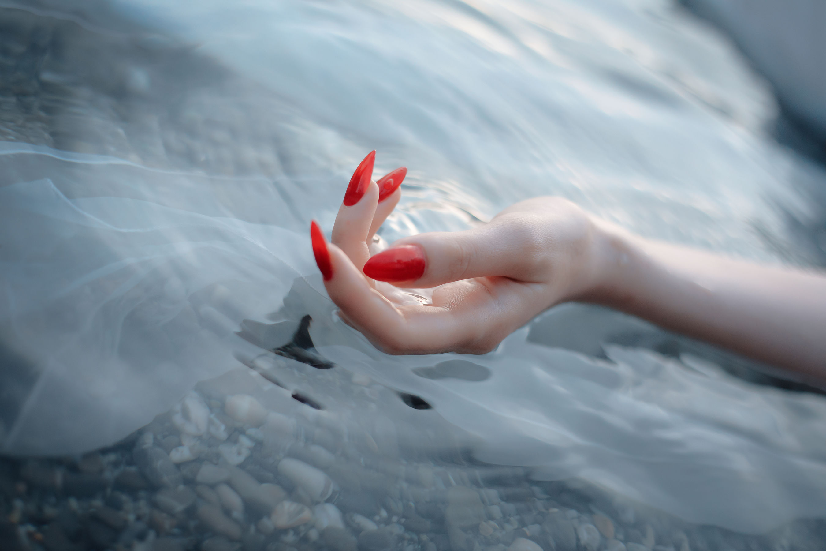 国外美女SayaTheFox – 海滩随拍 [10P] - 秀人网免费无水印在线套图写真