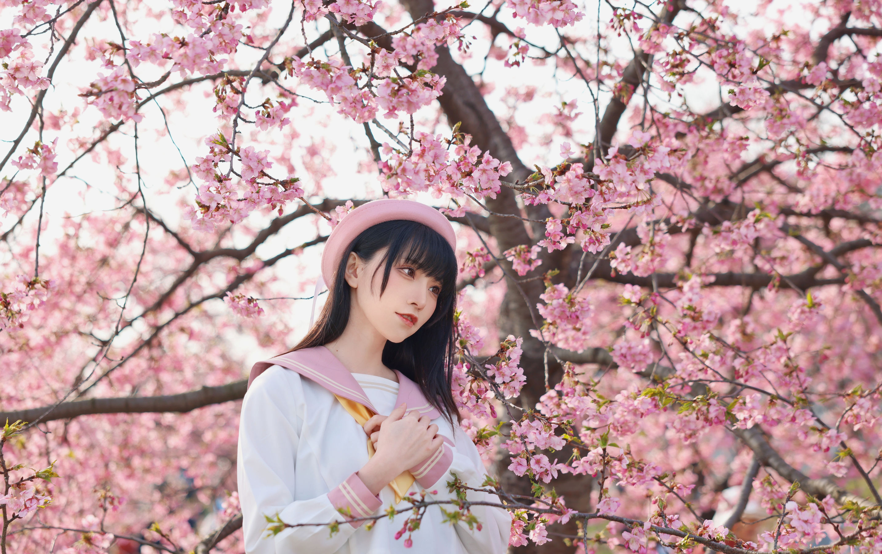 动漫博主Kitaro_绮太郎 – 樱花 [18P] - 秀人网免费无水印在线套图写真