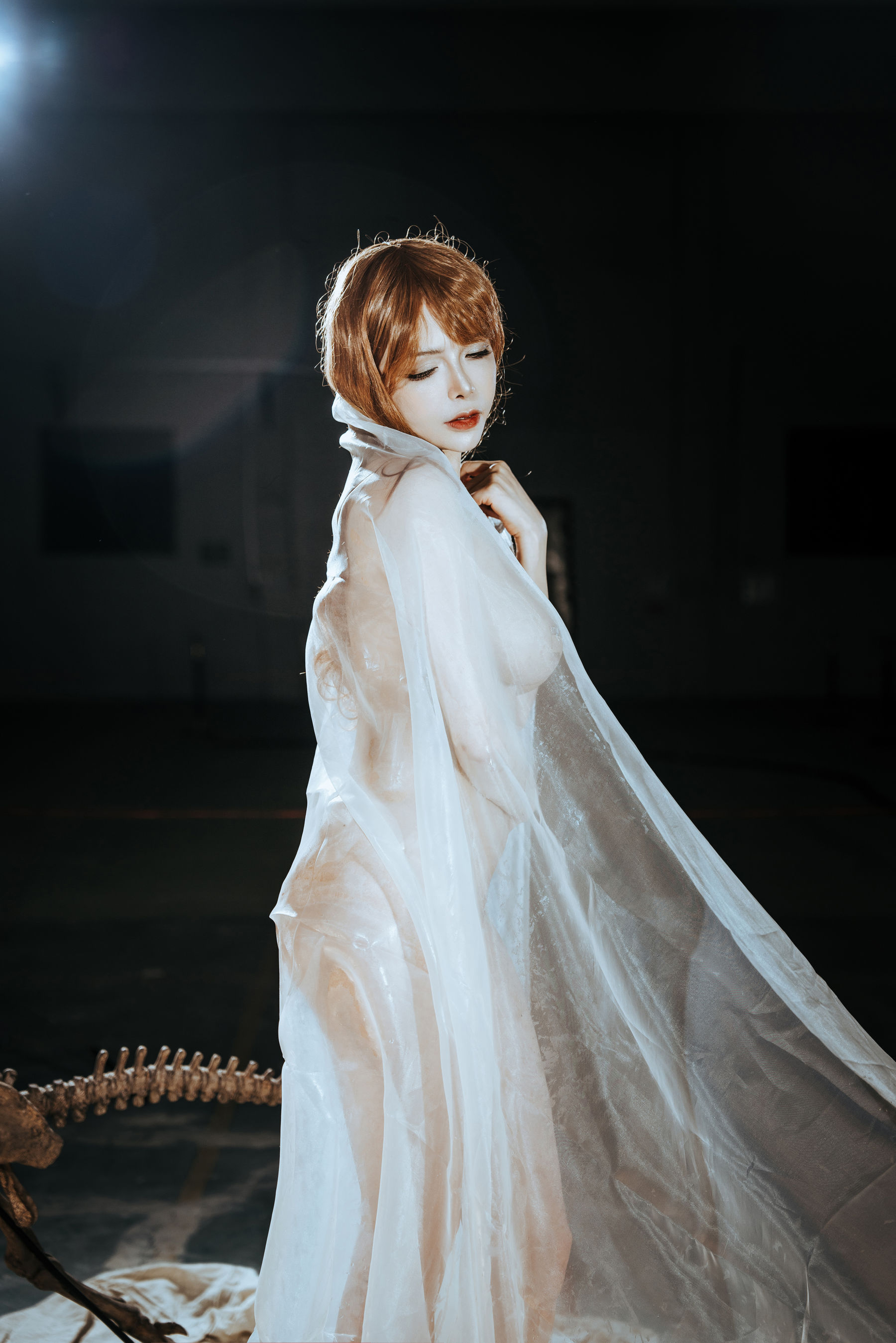 秋和柯基(夏小秋秋秋) – 纱 [66P] - 秀人网免费无水印在线套图写真