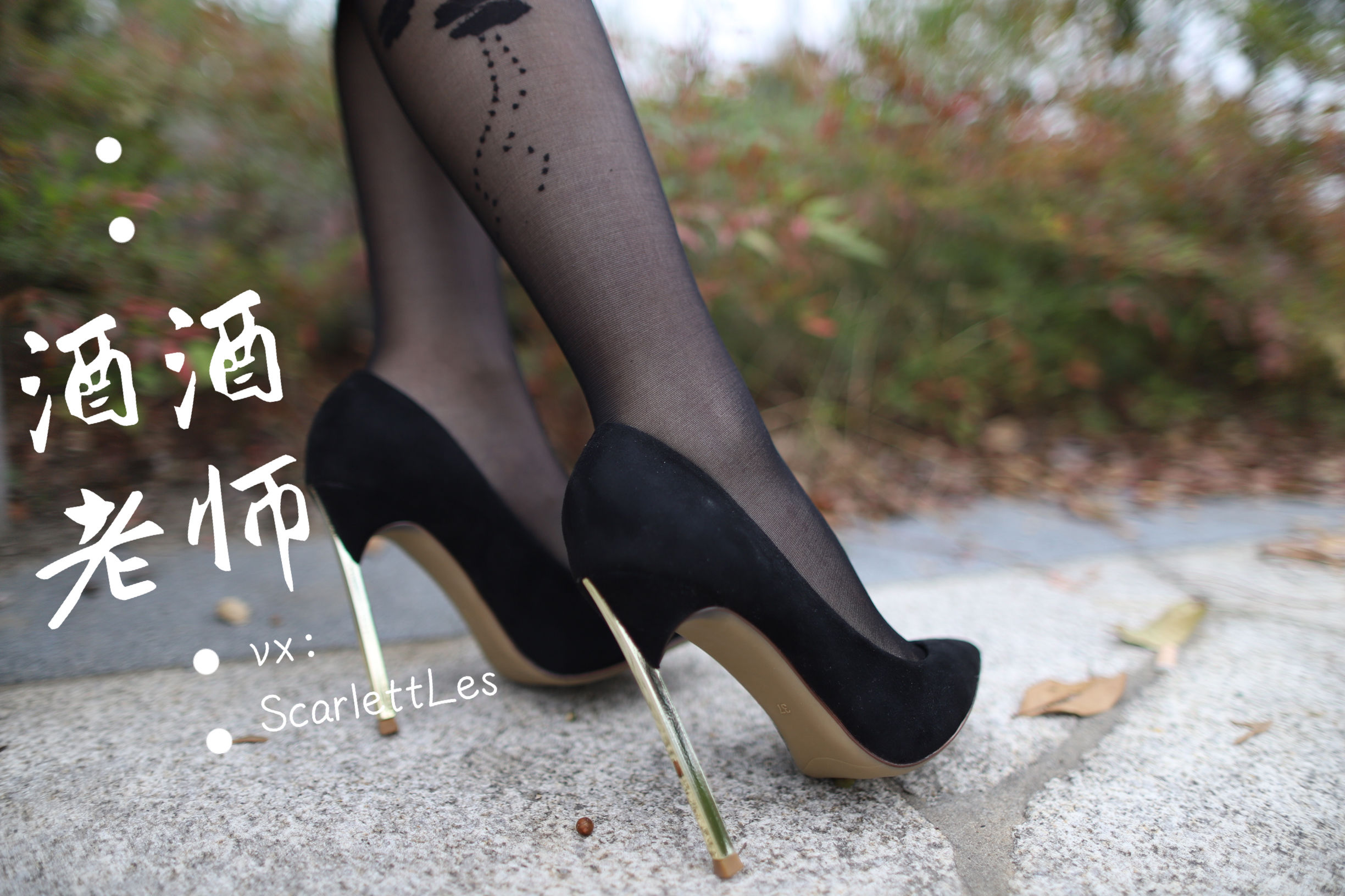 酒酒老师 – 上课前误穿黒丝 [53P] - 秀人网免费无水印在线套图写真