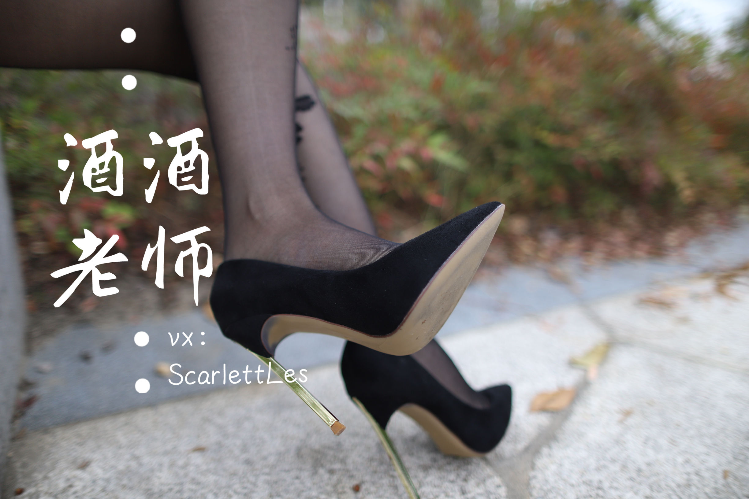 酒酒老师 – 上课前误穿黒丝 [53P] - 秀人网免费无水印在线套图写真