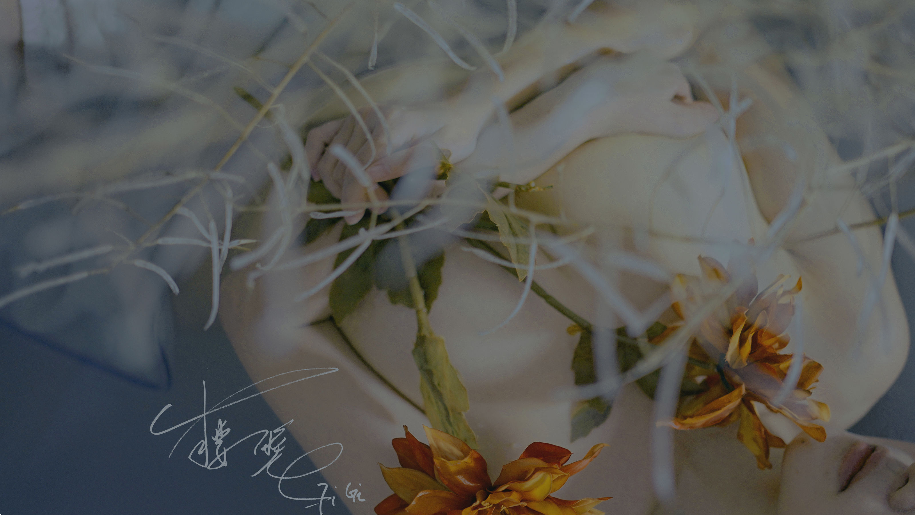 网络红人樱晚gigi – 清衣.池 [25P] - 秀人网免费无水印在线套图写真