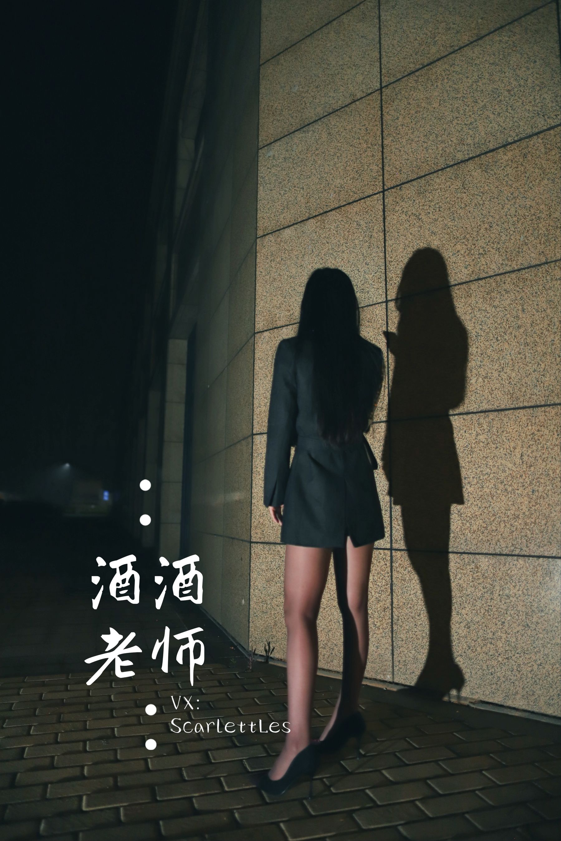 酒酒老师 – 司机先生，喜欢紫色丝吗？ [74P] - 秀人网免费无水印在线套图写真