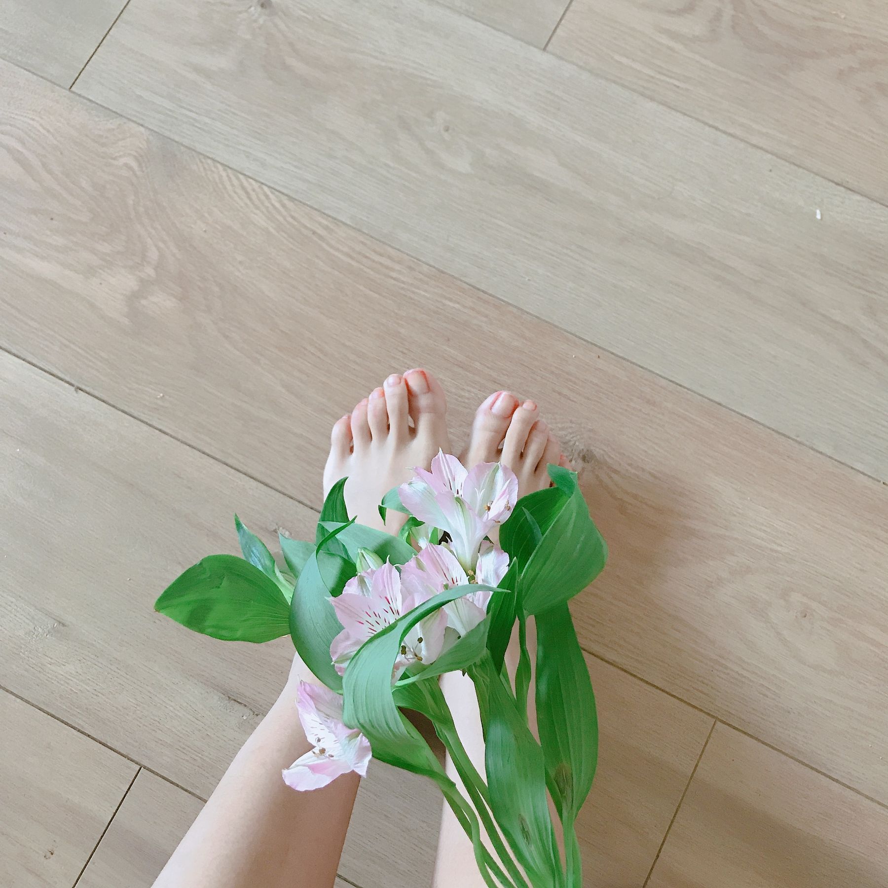 安乔乔儿(Nia乔乔) No.006 学姐来了 [124P] - 秀人网免费无水印在线套图写真