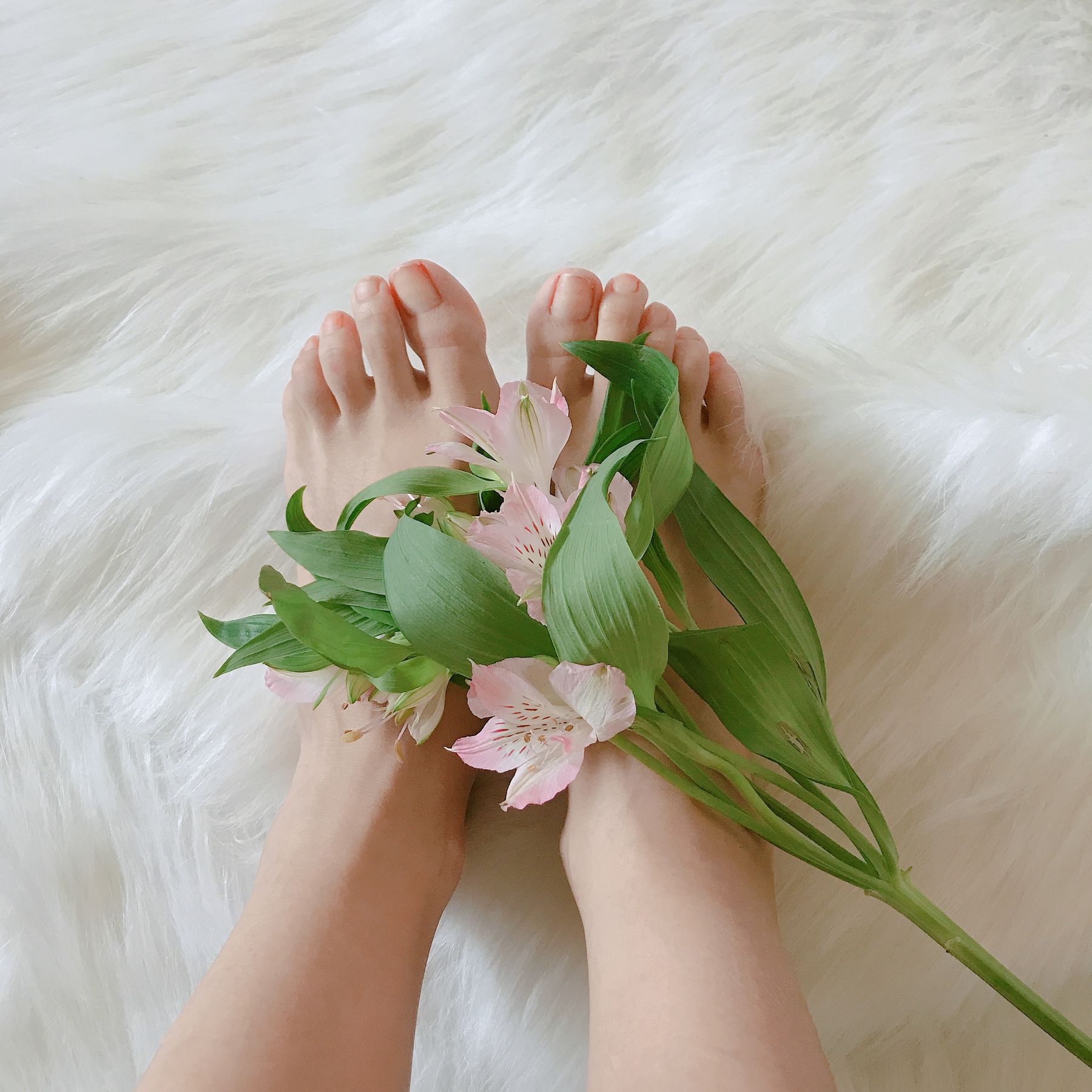 安乔乔儿(Nia乔乔) No.006 学姐来了 [124P] - 秀人网免费无水印在线套图写真