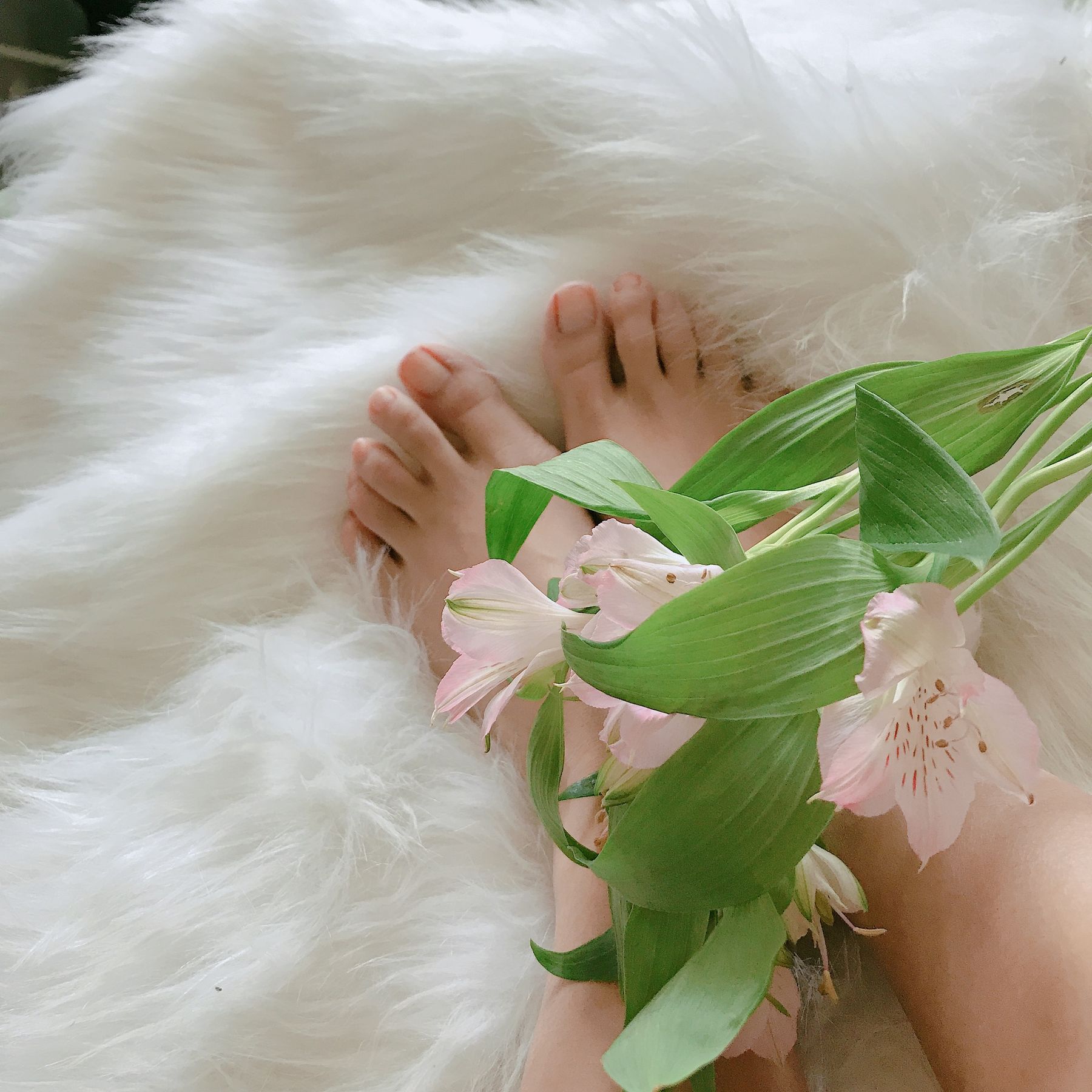 安乔乔儿(Nia乔乔) No.006 学姐来了 [124P] - 秀人网免费无水印在线套图写真