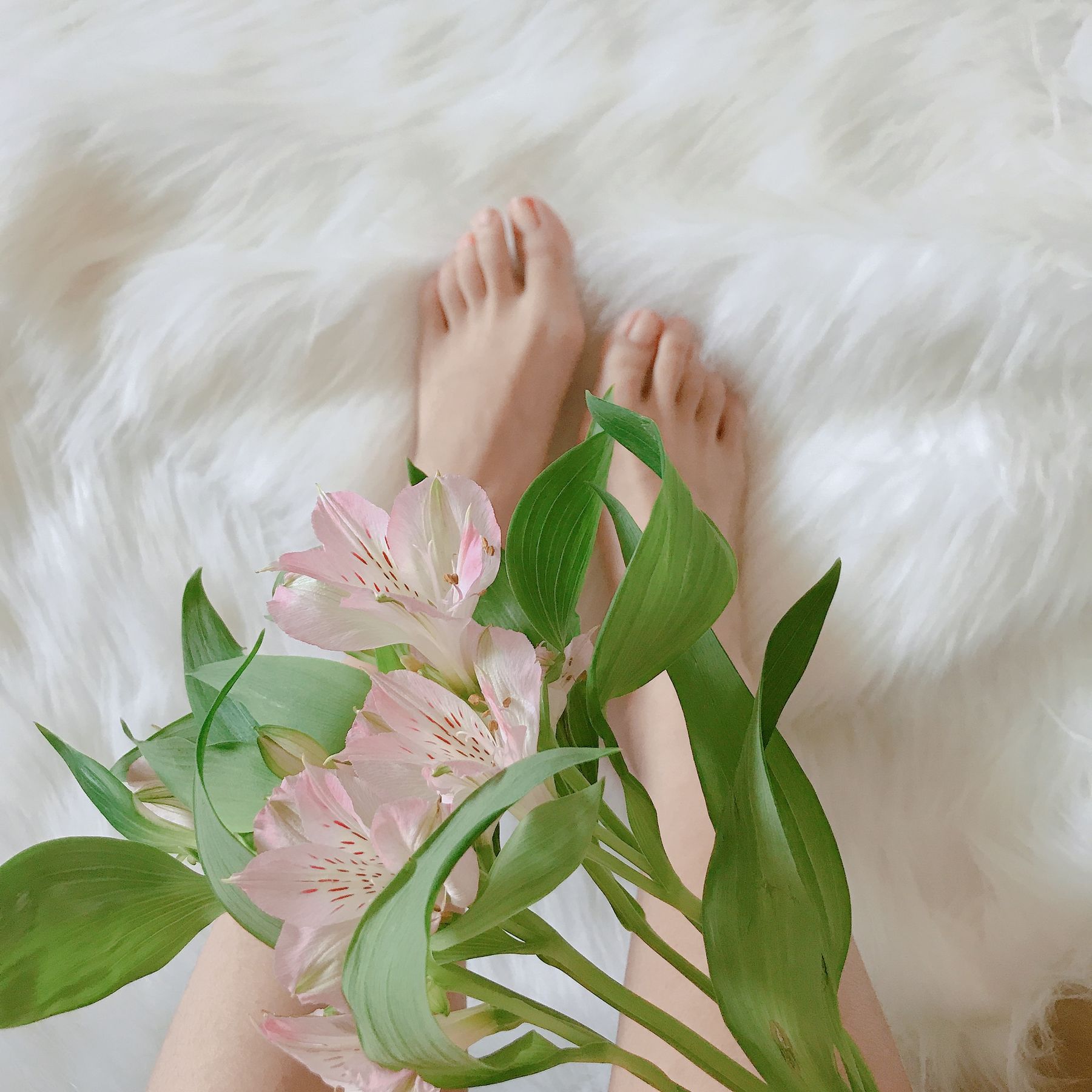 安乔乔儿(Nia乔乔) No.006 学姐来了 [124P] - 秀人网免费无水印在线套图写真