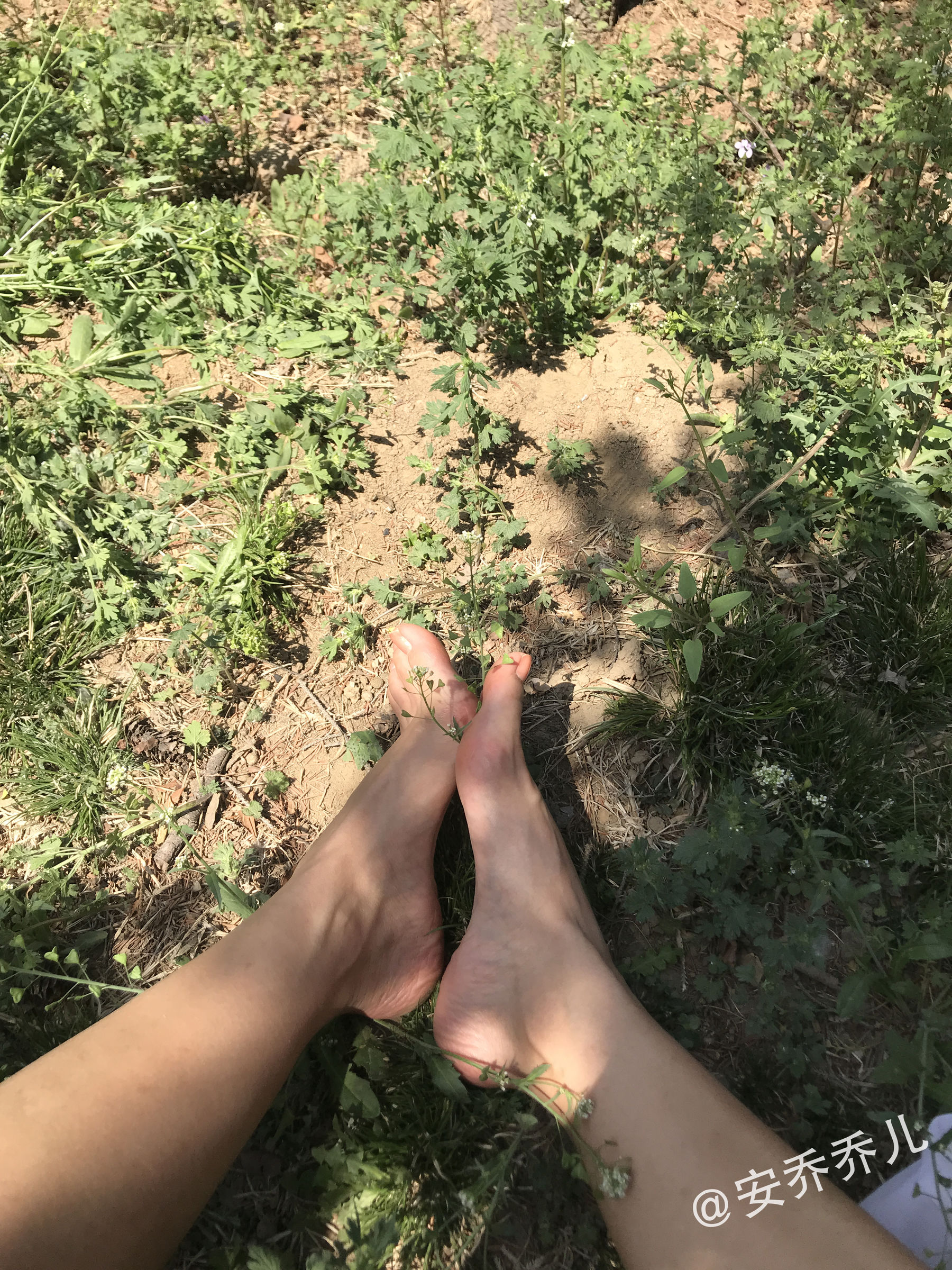 安乔乔儿(Nia乔乔) No.018 夏天的风 [115P] - 秀人网免费无水印在线套图写真