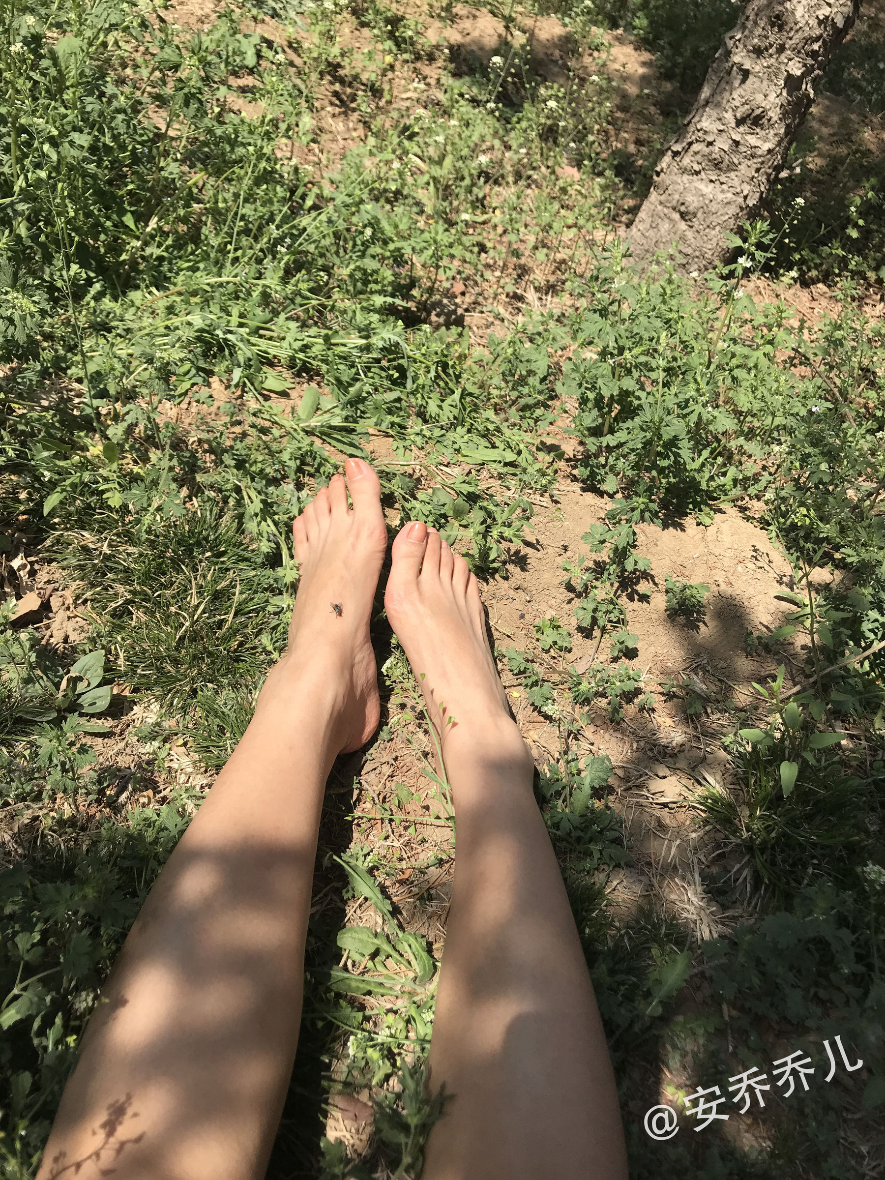 安乔乔儿(Nia乔乔) No.018 夏天的风 [115P] - 秀人网免费无水印在线套图写真