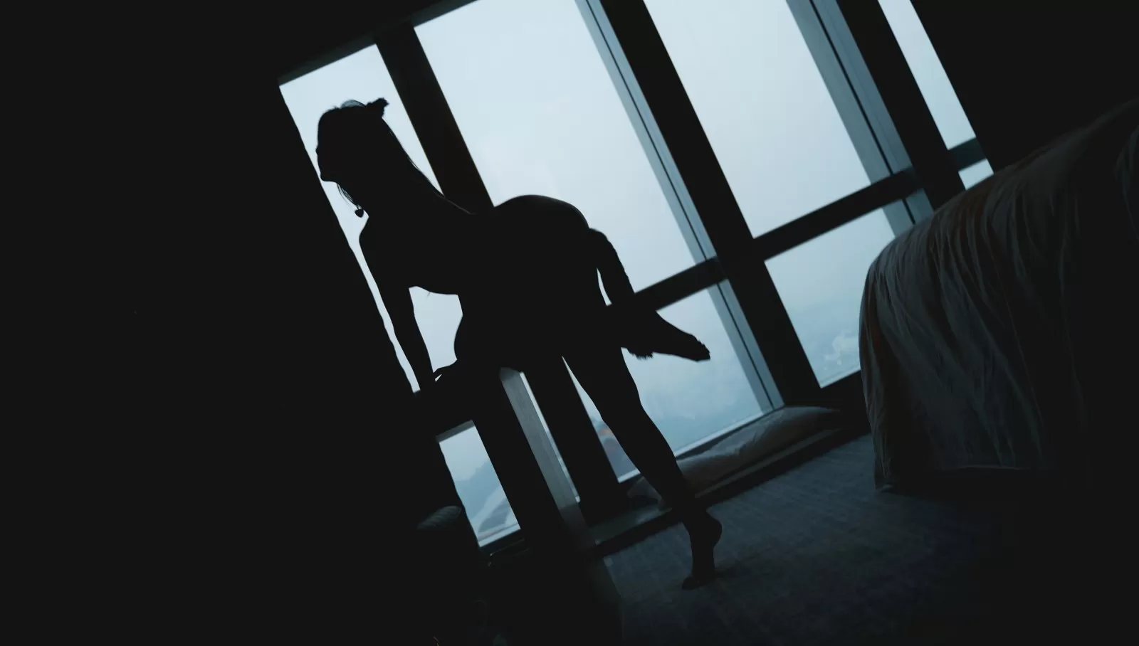 就是阿朱啊 – 猫 [85P] - 秀人网免费无水印在线套图写真