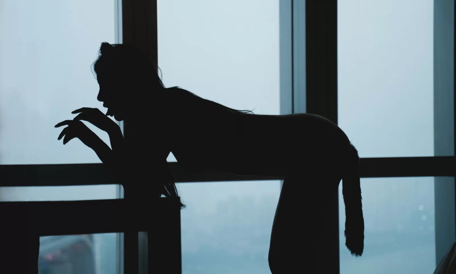 就是阿朱啊 – 猫 [85P] - 秀人网免费无水印在线套图写真