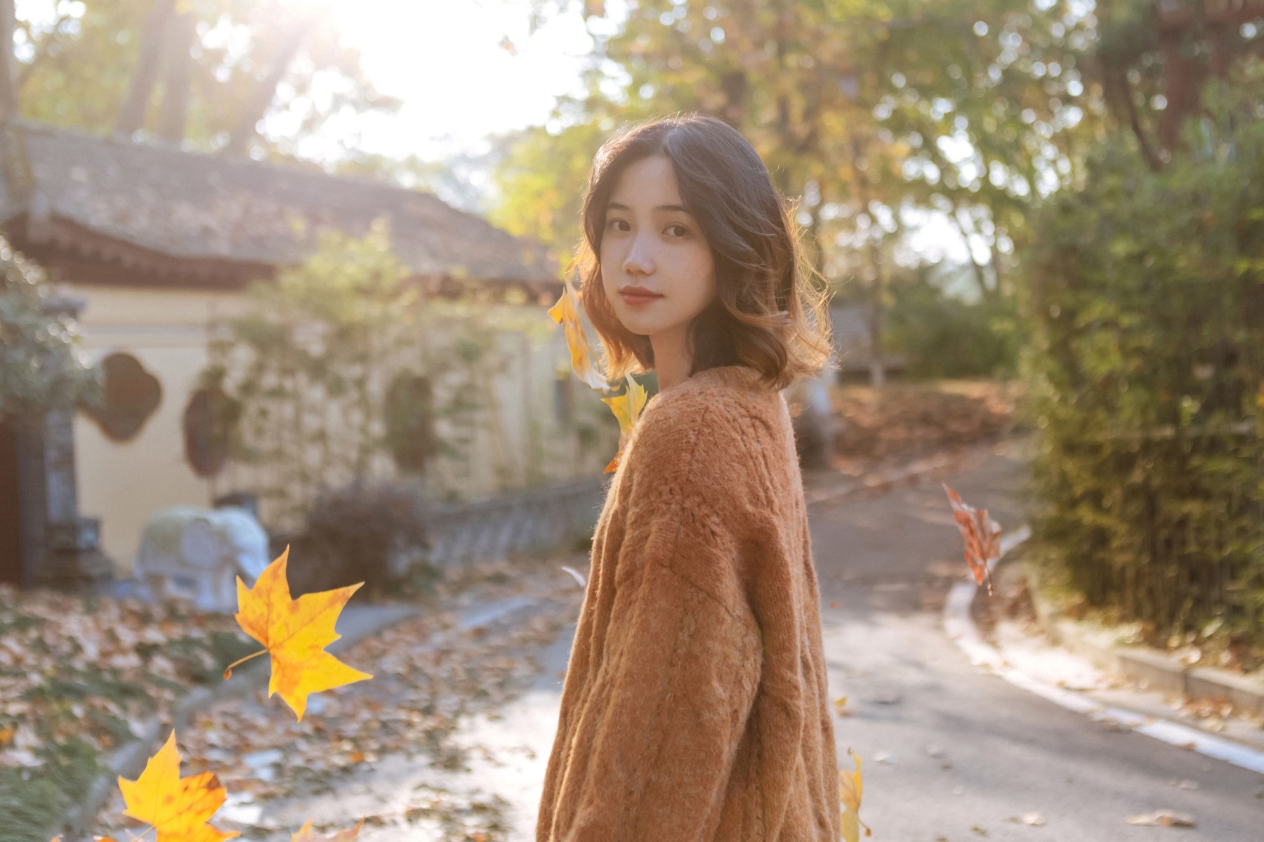 图片[6]-Taltooy – 《秋意浓》[30P]-COS写真在线网