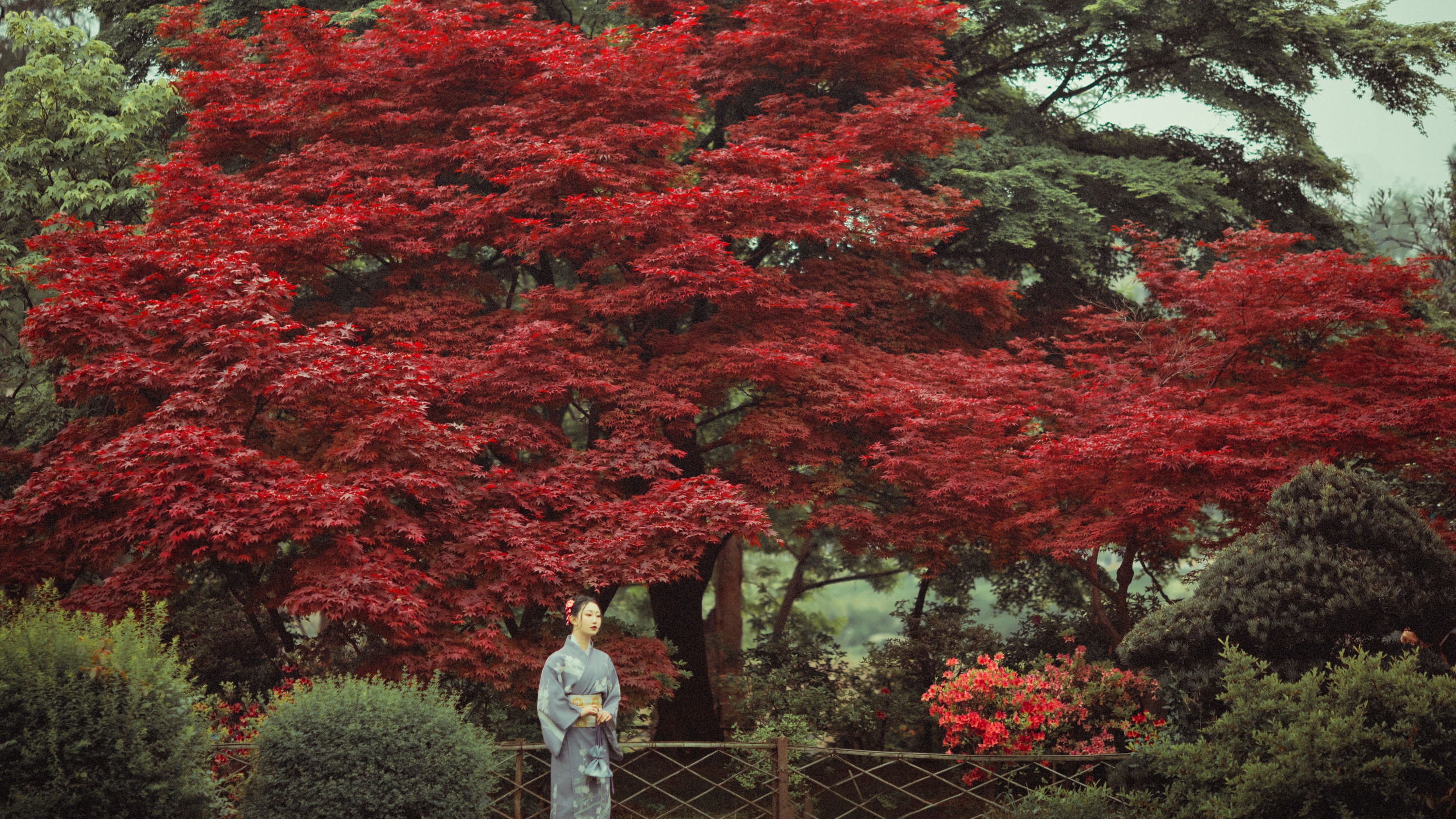 图片[3]-没烦恼 – 《红叶深处》[29P]-COS写真在线网