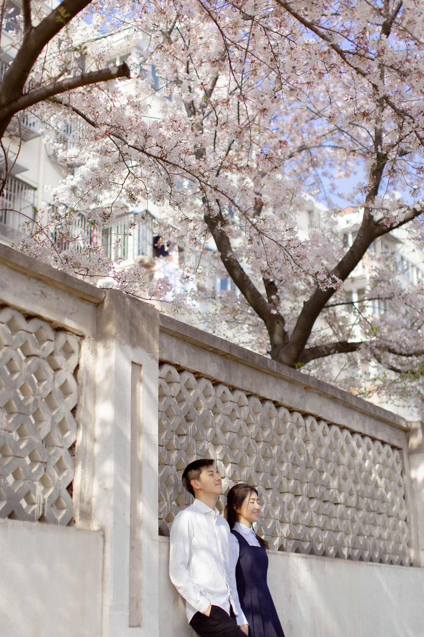 图片[6]-模特合集 – 《粉樱花语》[28P]-COS写真在线网