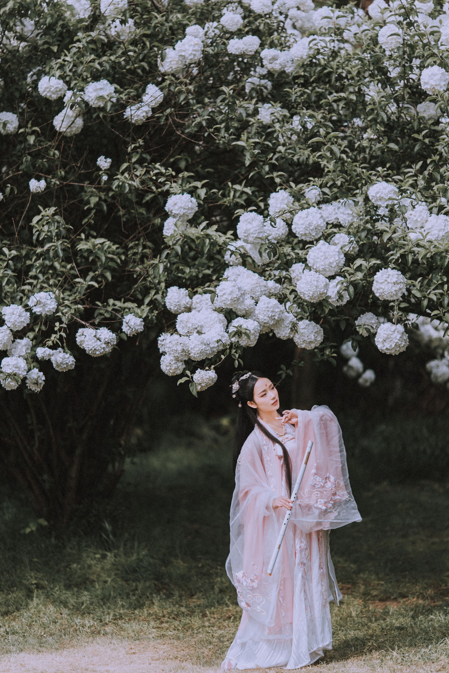 图片[3]-xxSilver – 《满袖春》[36P]-COS写真在线网
