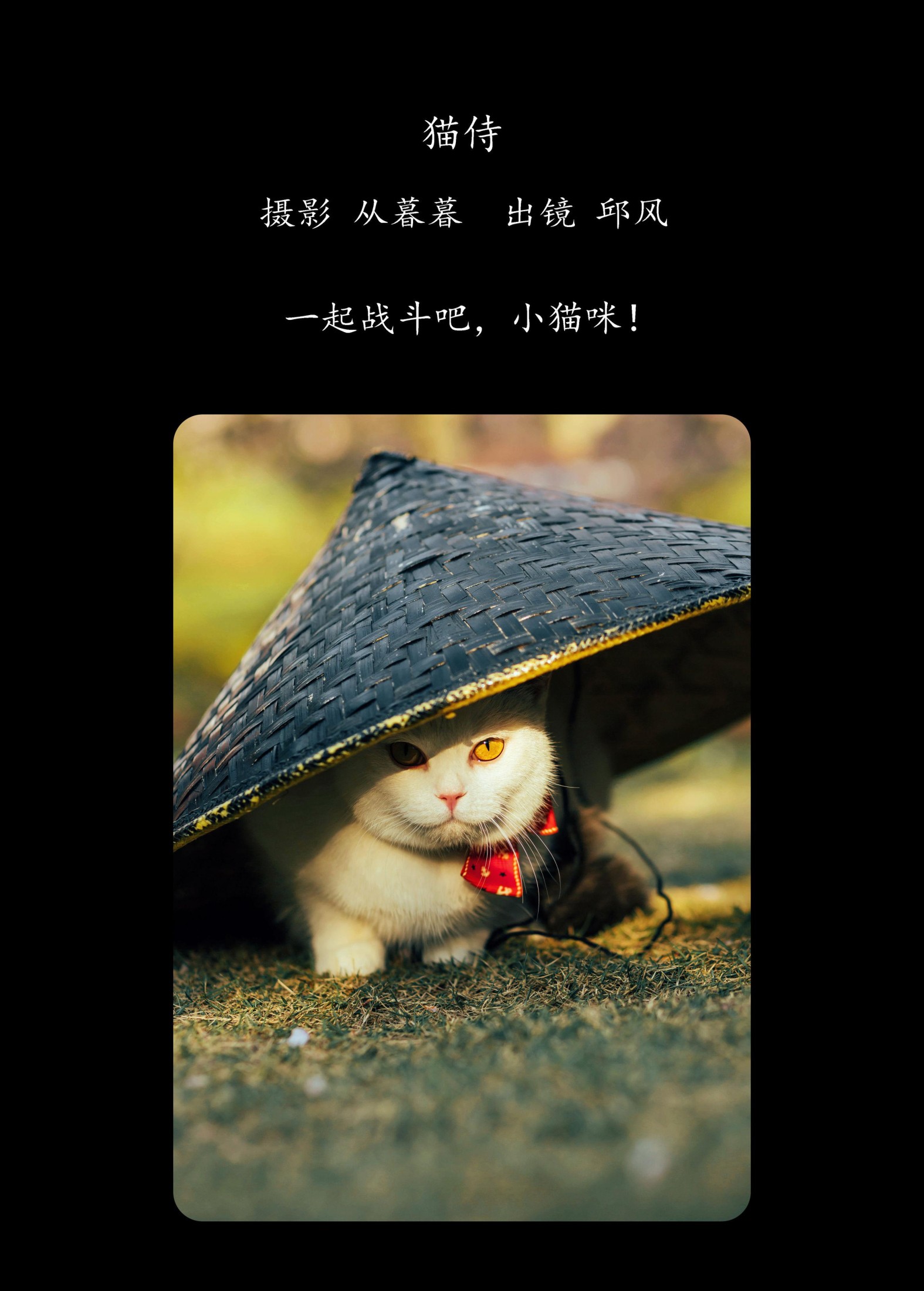 图片[2]-邱风 – 《猫侍》[31P]-COS写真在线网
