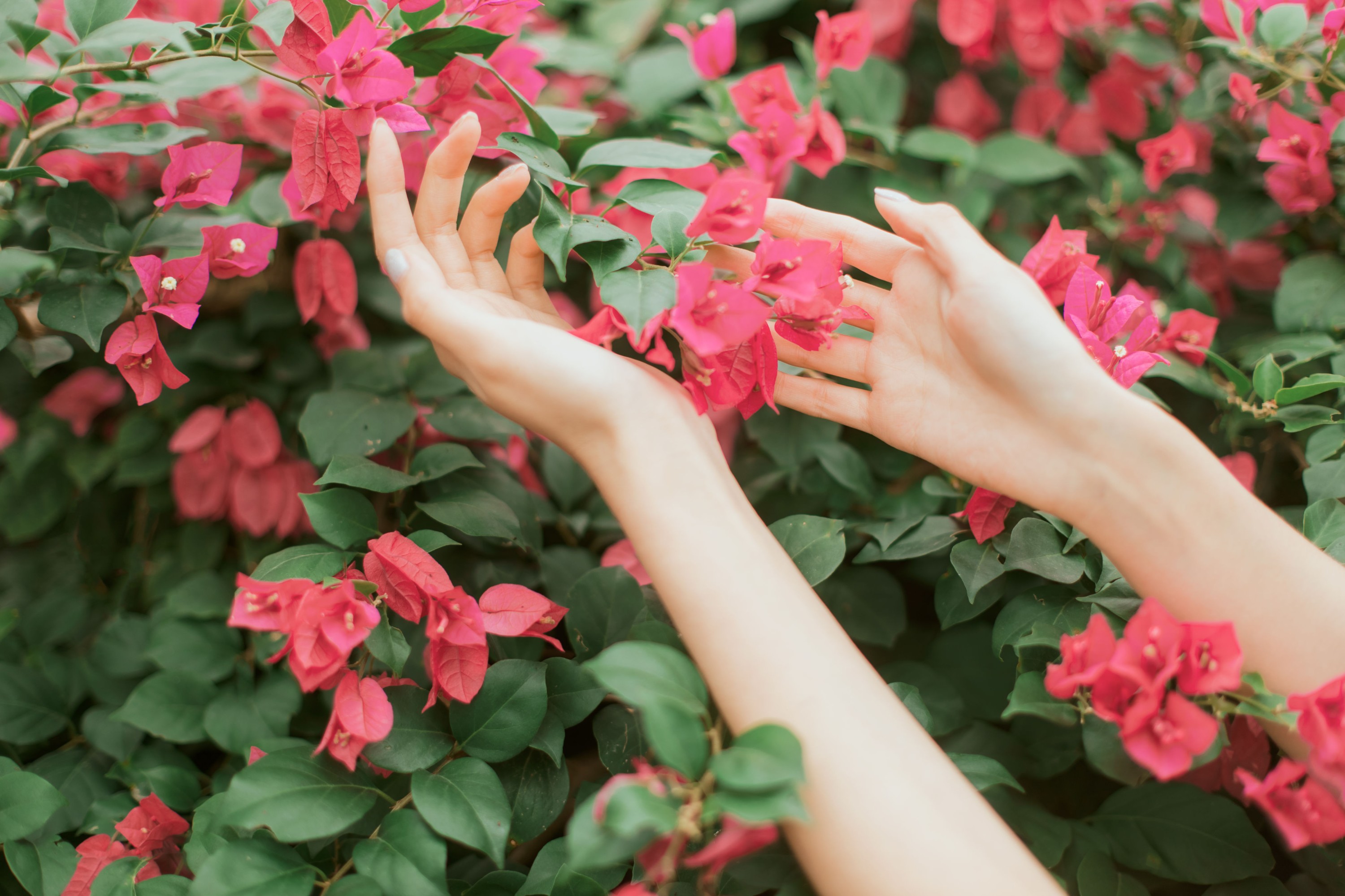 图片[3]-航子就是航子呀 – 《花开的季节》[40P]-COS写真在线网