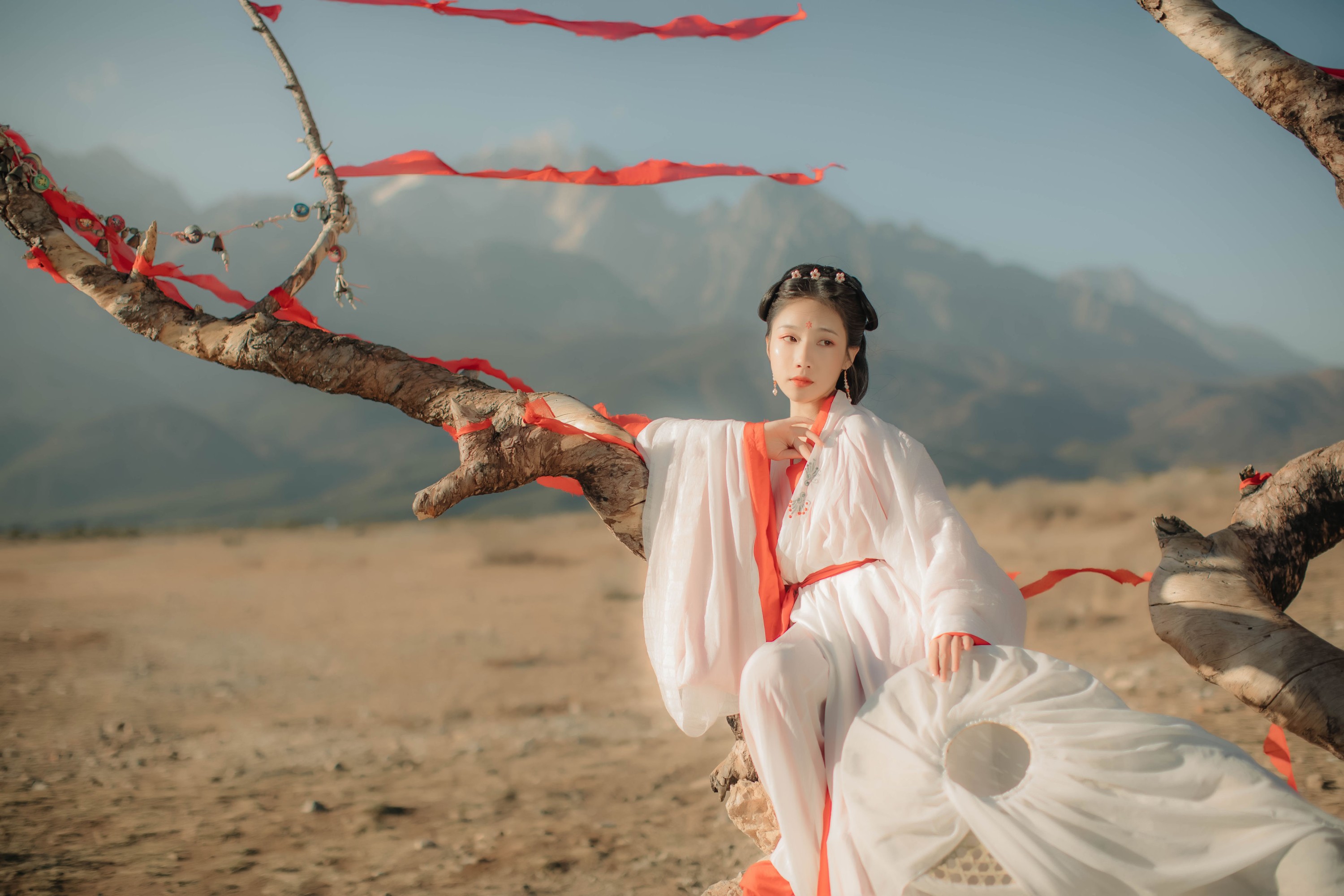 图片[4]-流韶 – 《红妆》[20P]-COS写真在线网