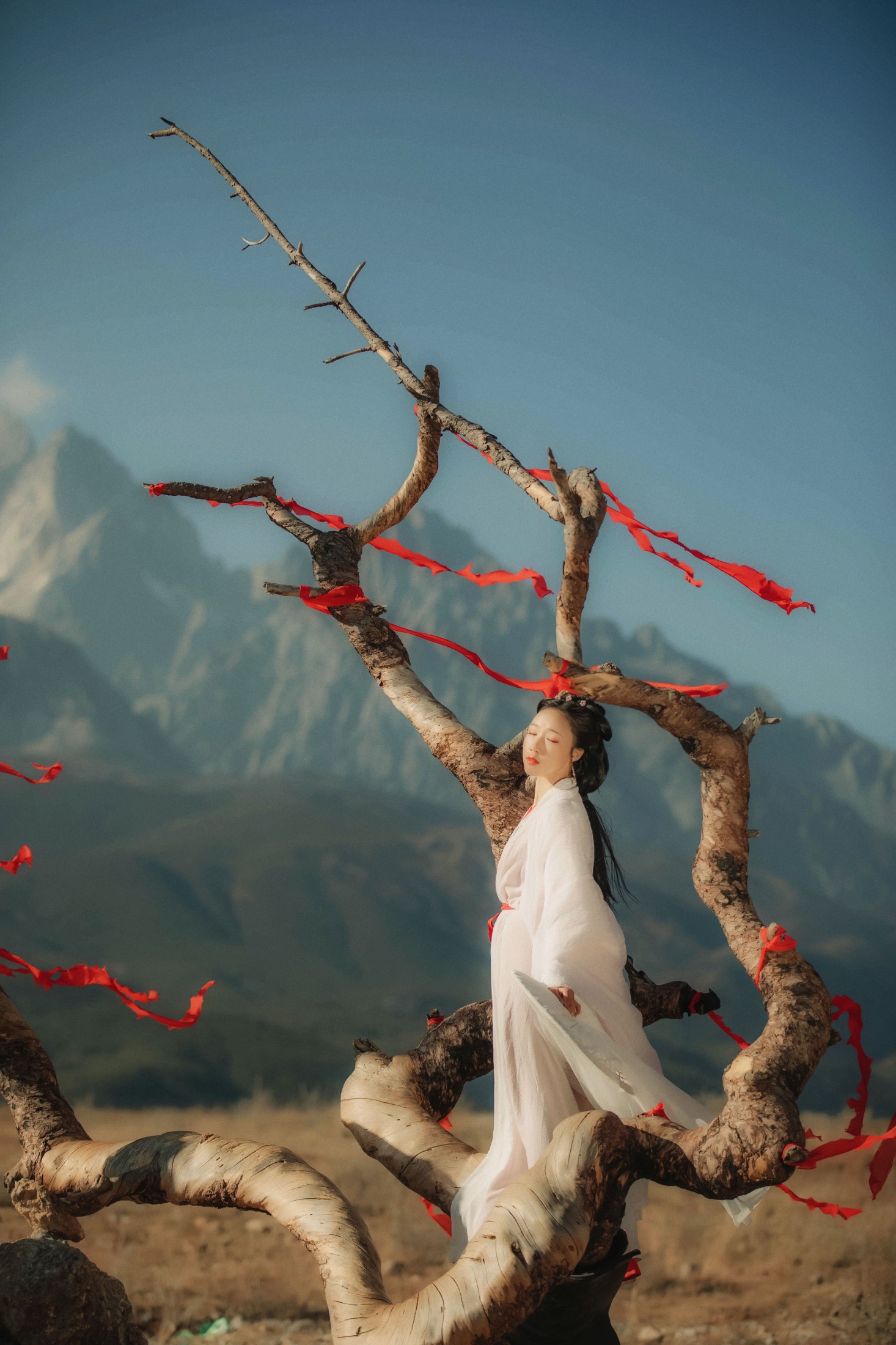 图片[5]-流韶 – 《红妆》[20P]-COS写真在线网